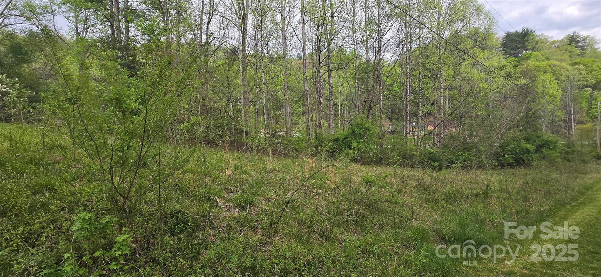 000 Indian Trail Property Photo 10