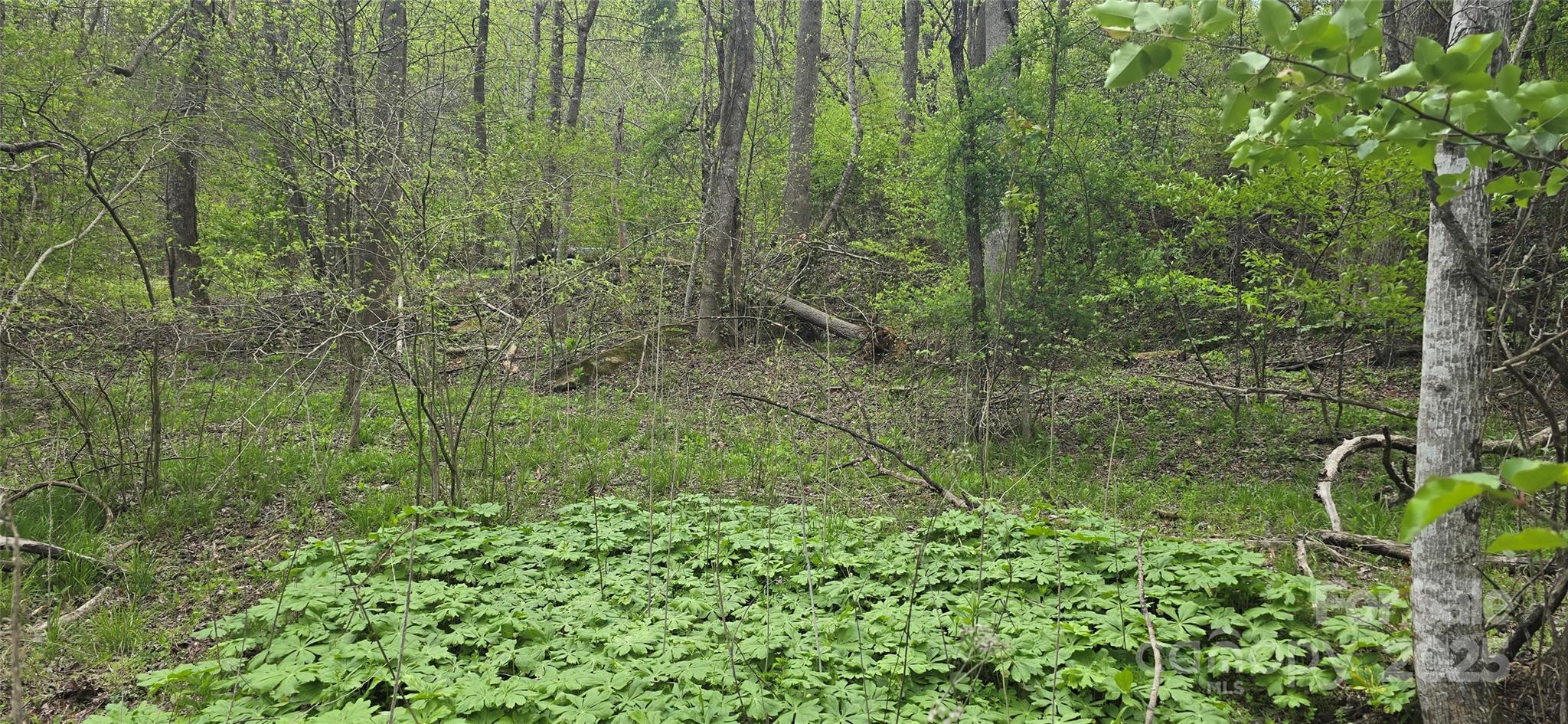 000 Indian Trail Property Photo 12
