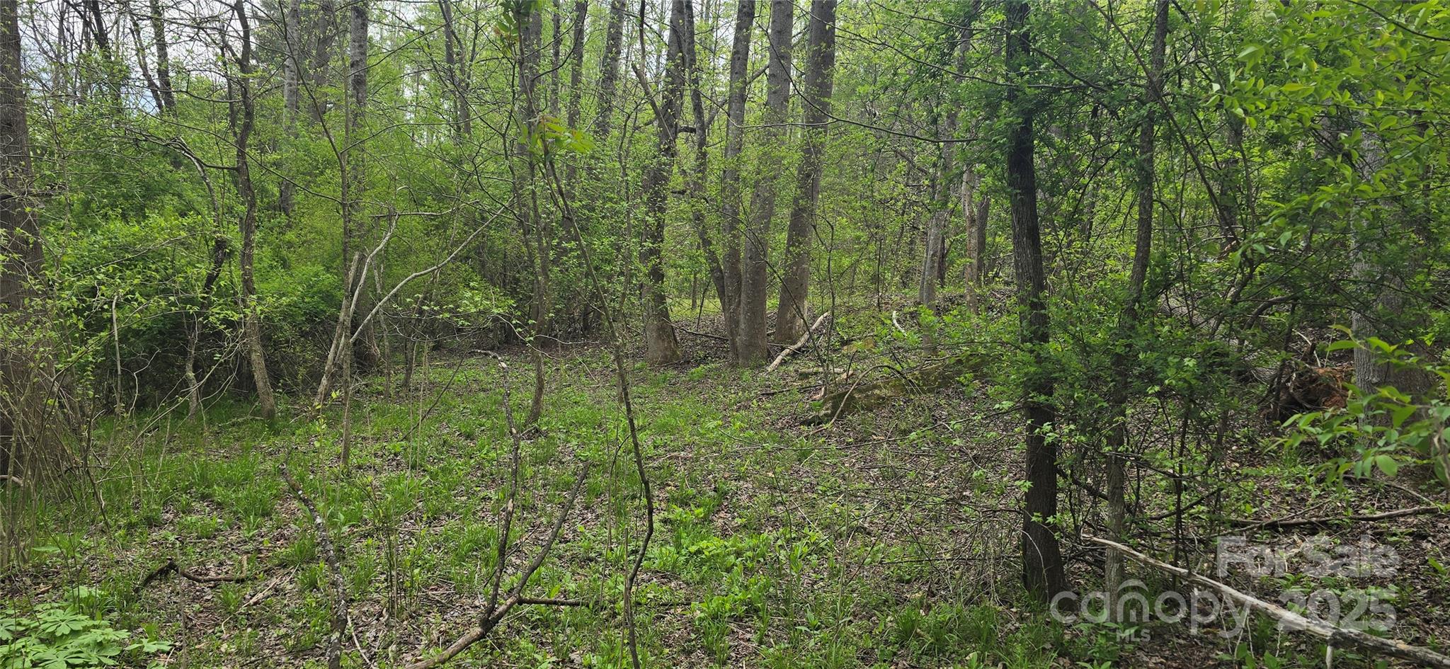 000 Indian Trail Property Photo 14