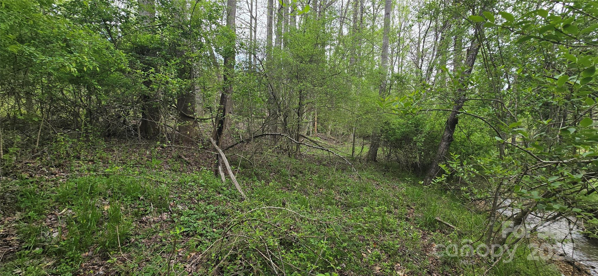 000 Indian Trail Property Photo 17
