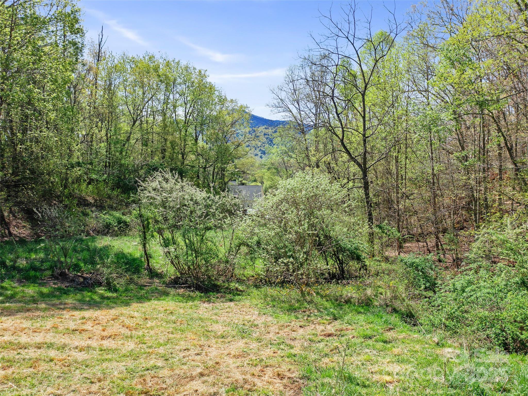 118 Boone Street Property Photo 19