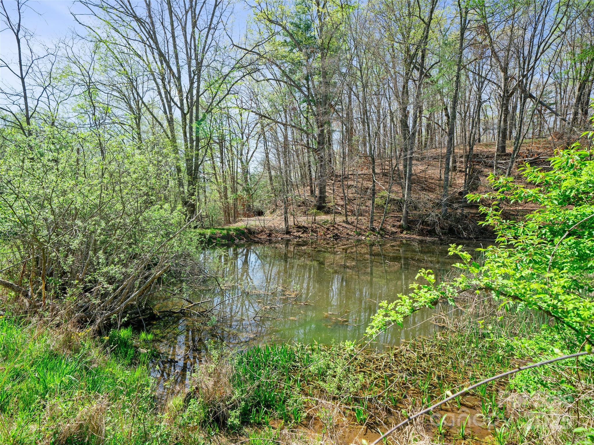 118 Boone Street Property Photo 22