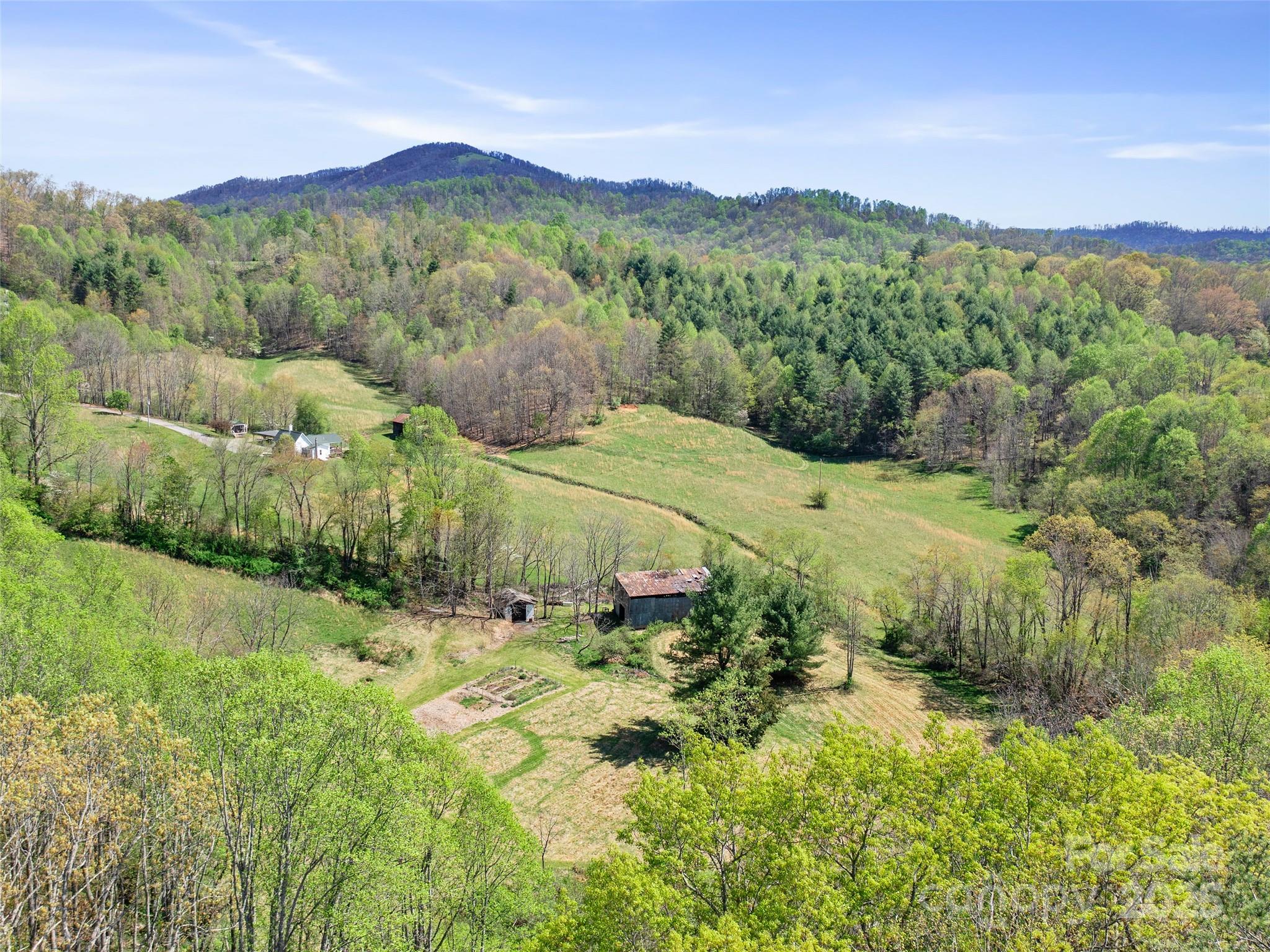 118 Boone Street Property Photo 29