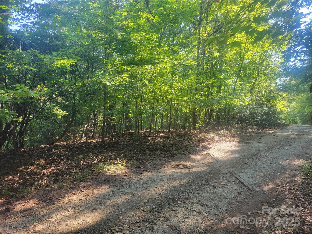 Lot 5 Appaloosa Lane 5 Property Photo 2