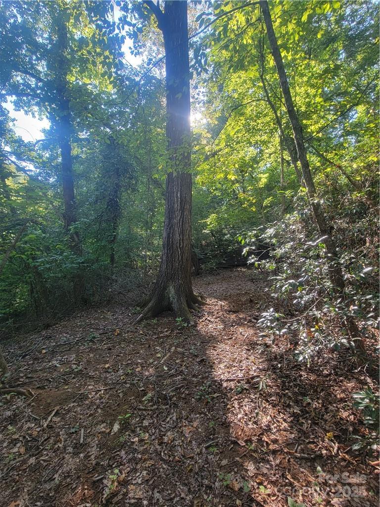 Lot 5 Appaloosa Lane 5 Property Photo 5
