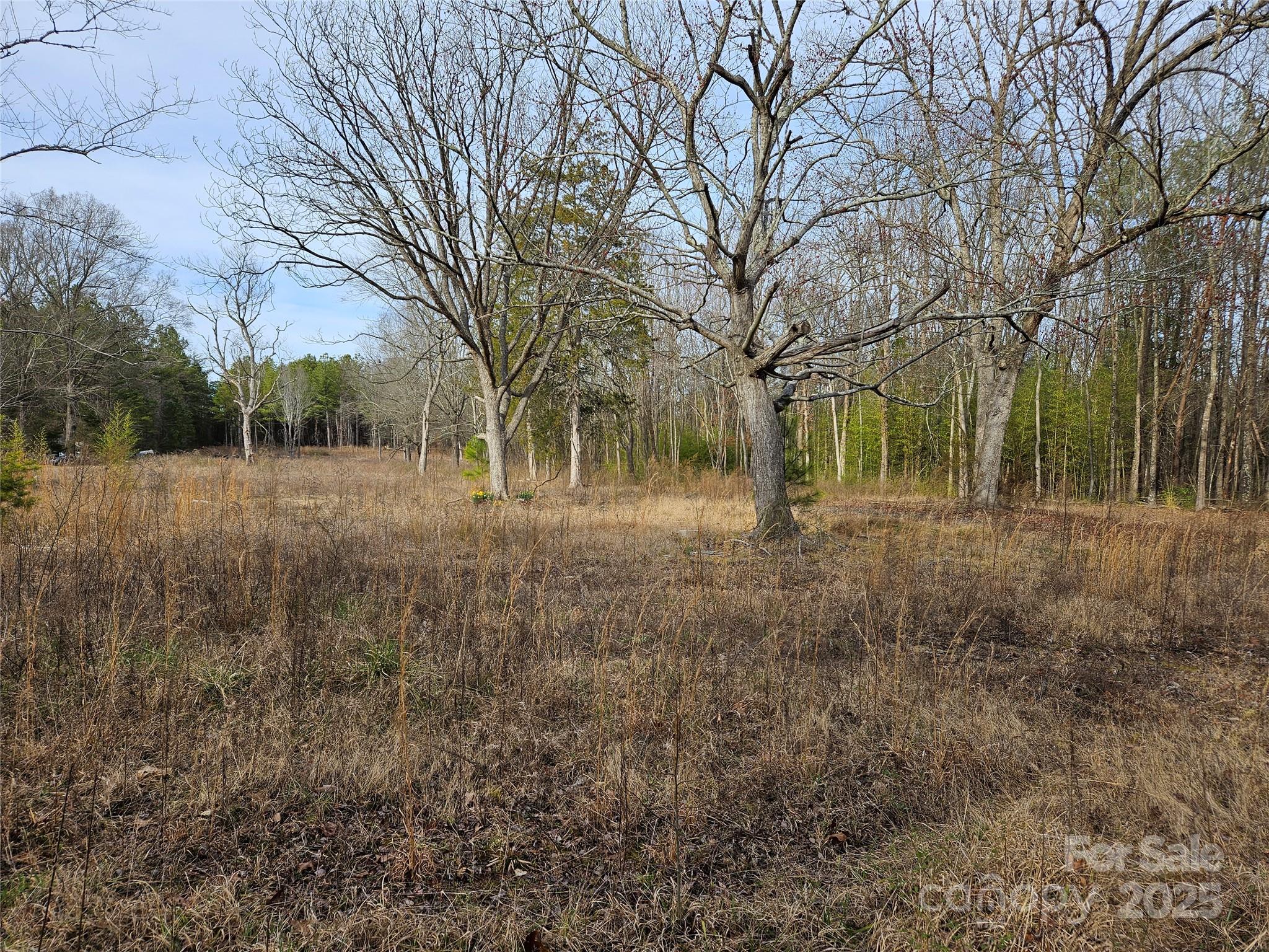 1450 St Lukes Church Road Property Photo