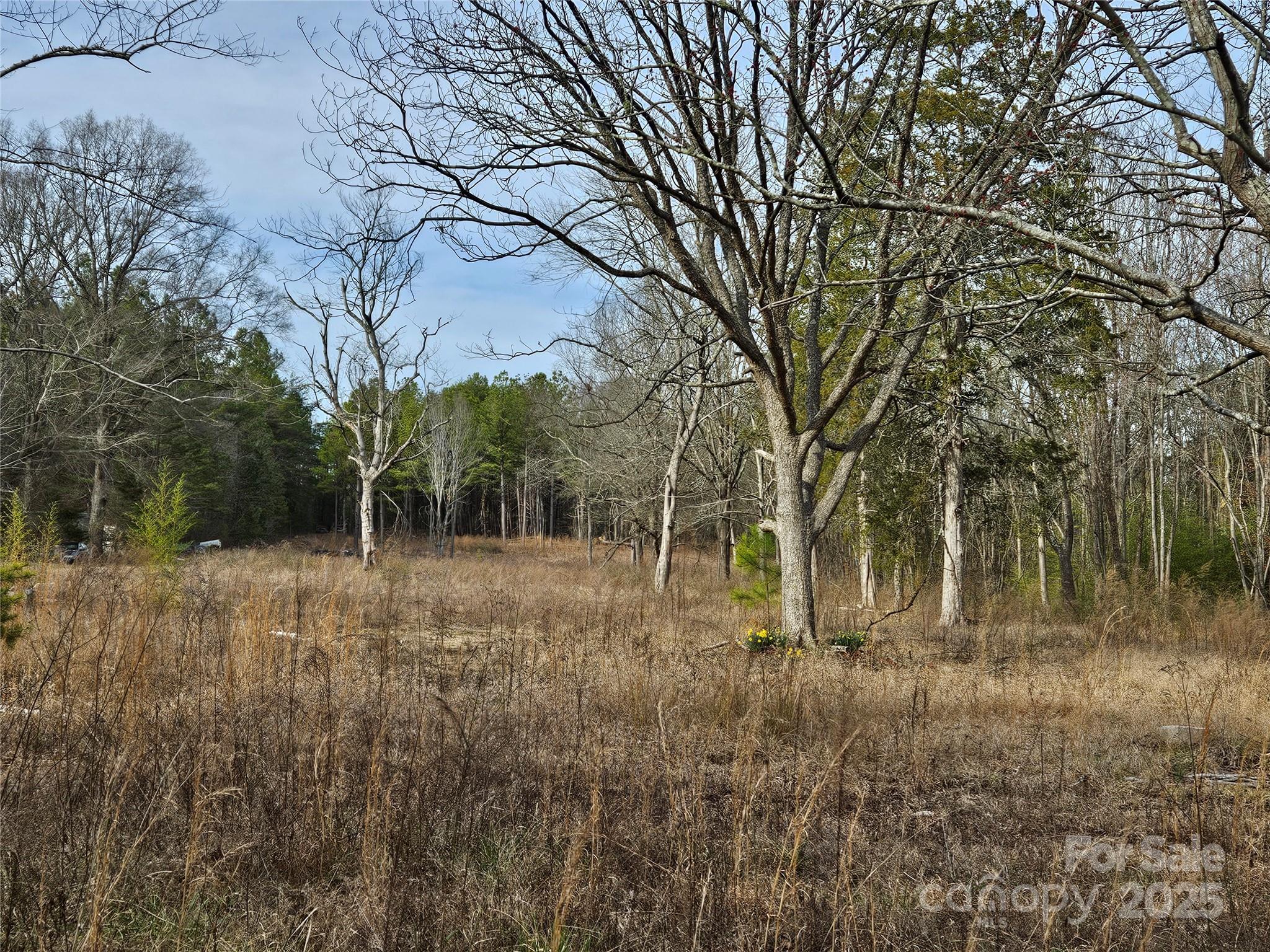 1450 St Lukes Church Road Property Photo 3