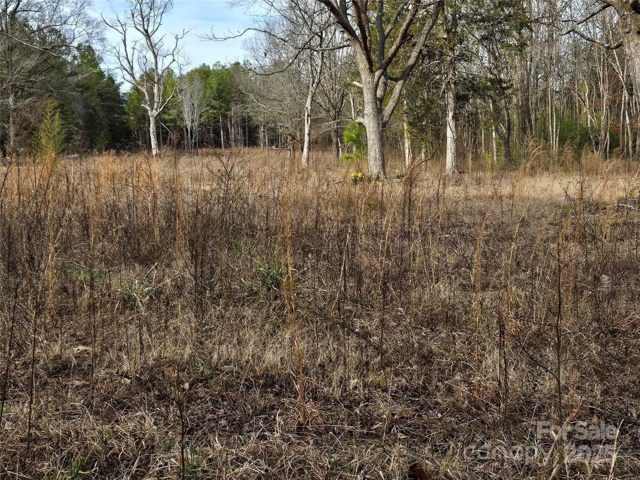 1450 St Lukes Church Road Property Photo 4