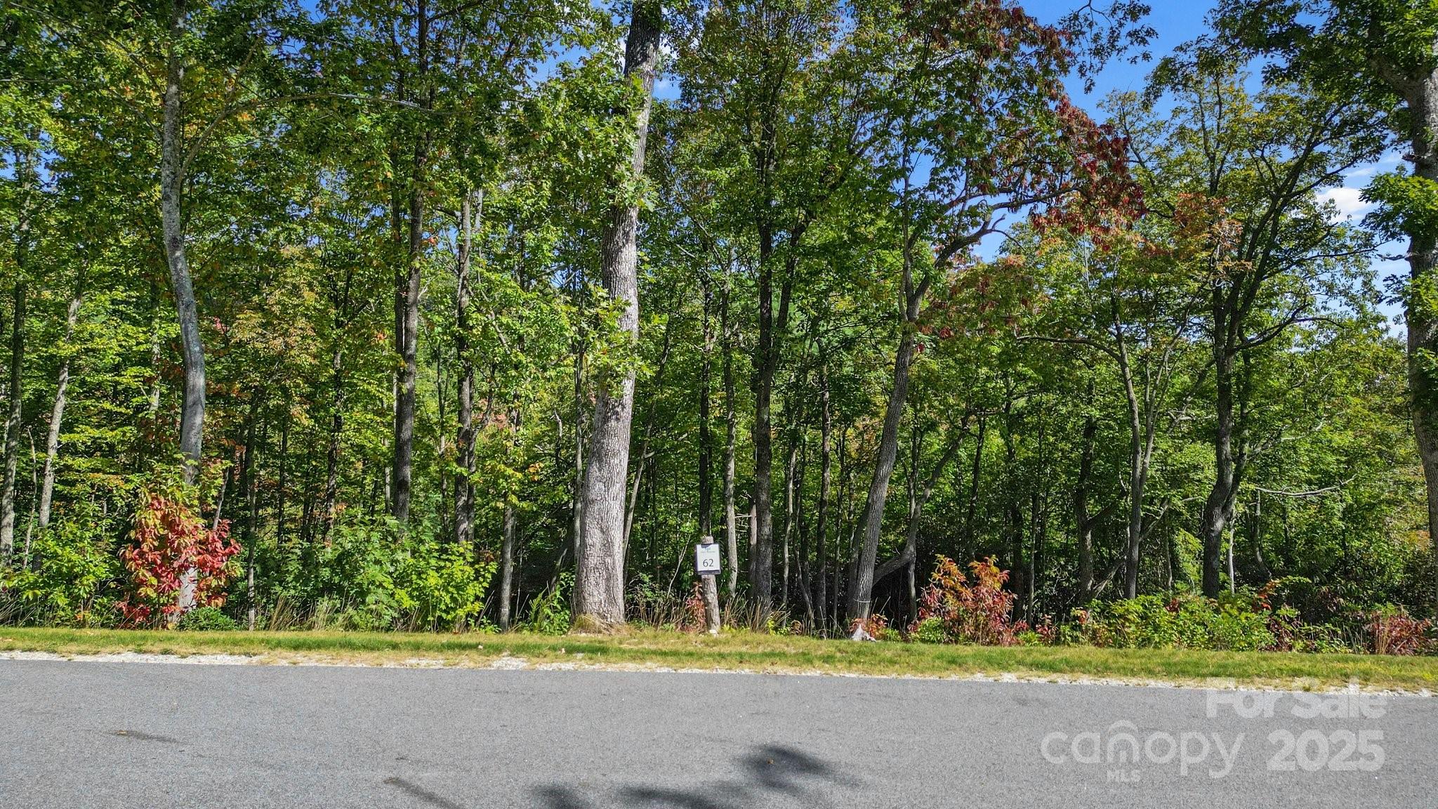 0 Mountain Grove Lane Lot 62 Property Photo 1