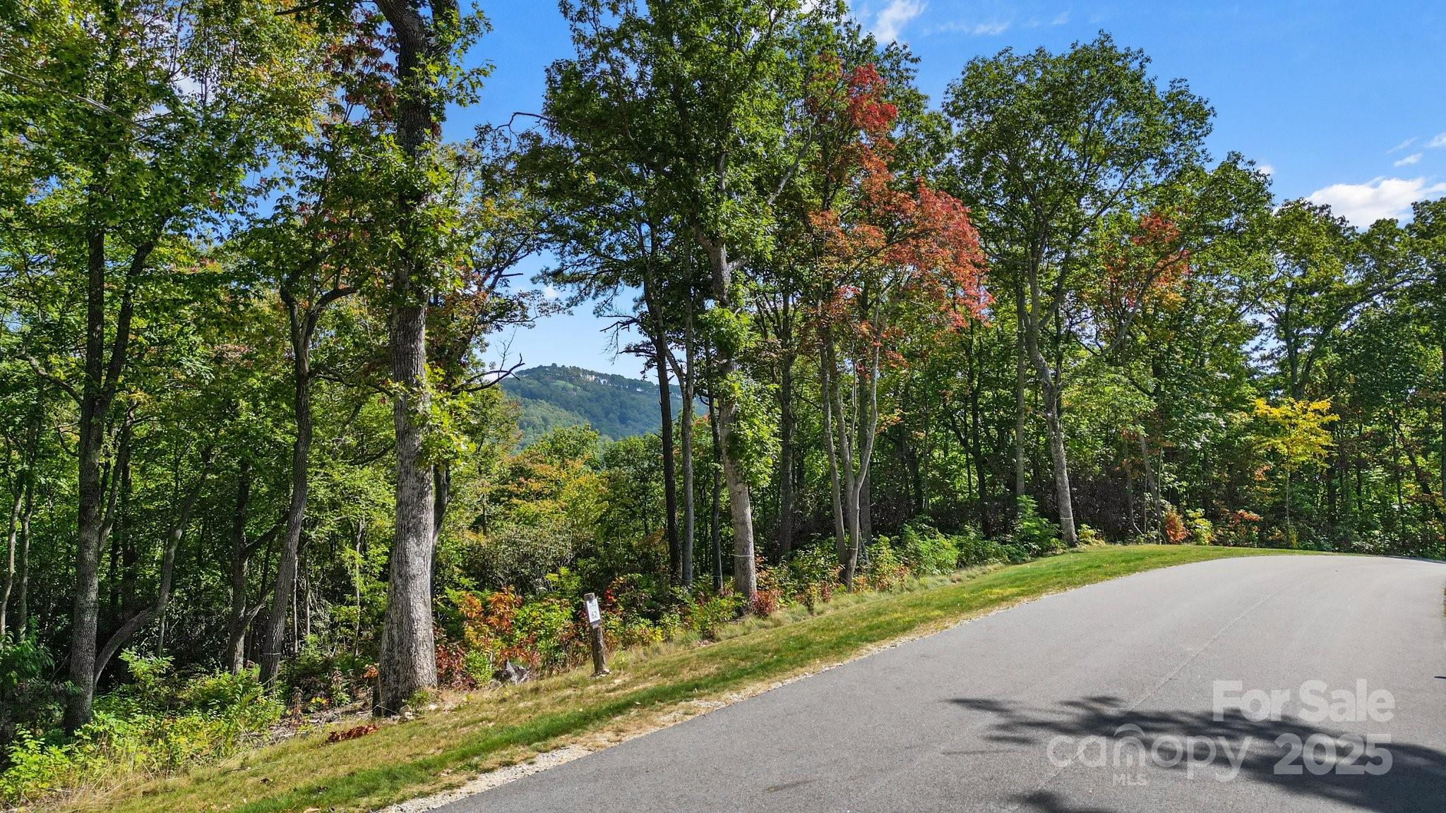 0 Mountain Grove Lane Lot 62 Property Photo 4