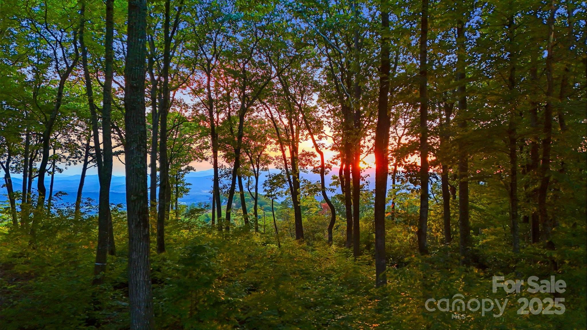 0 Mountain Grove Lane Lot 68 Property Photo 2