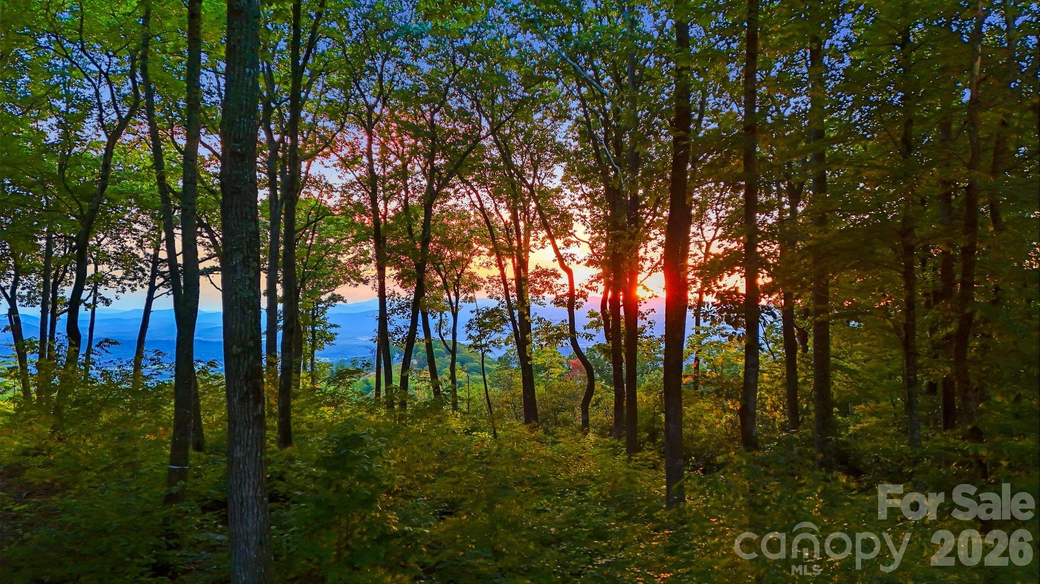 0 Mountain Grove Lane Lot 68 Property Photo 2
