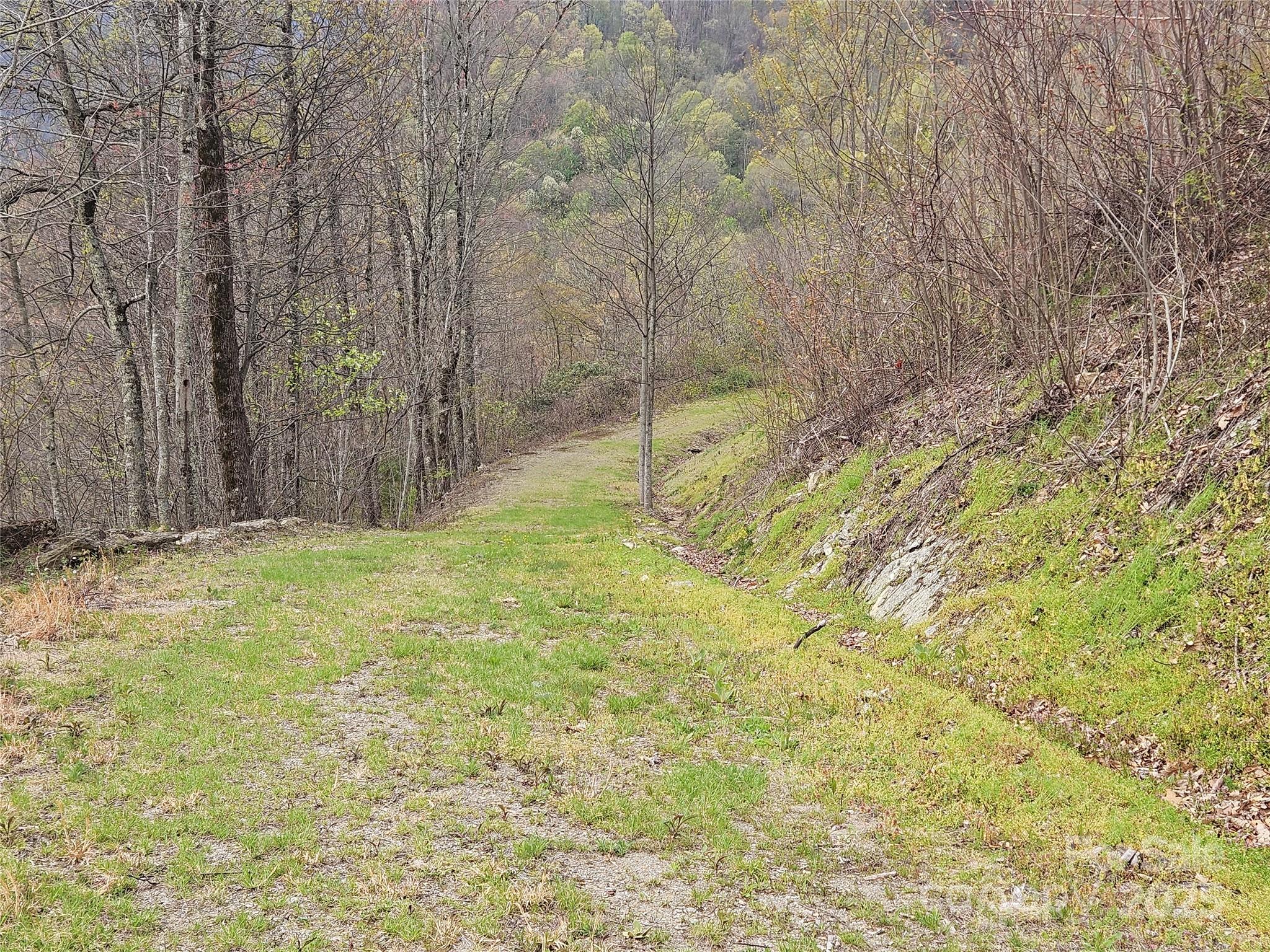 Tbd Davy Crockett Drive 109-112 Property Photo 8