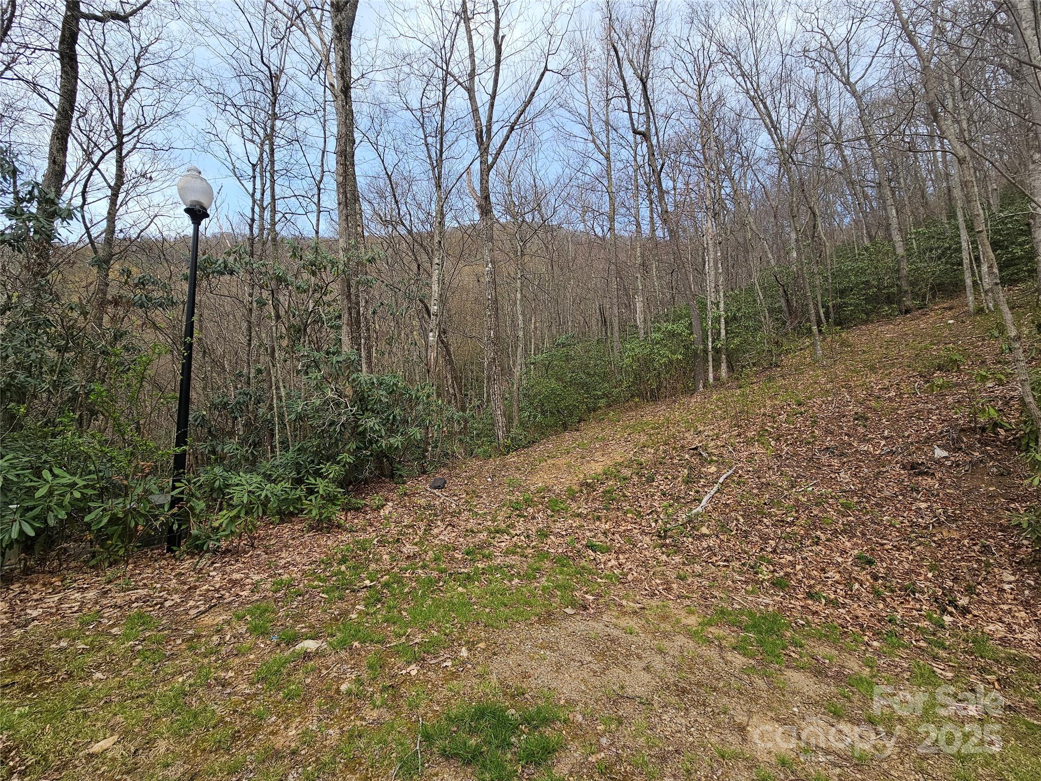 Tbd Davy Crockett Drive 109-112 Property Photo 10