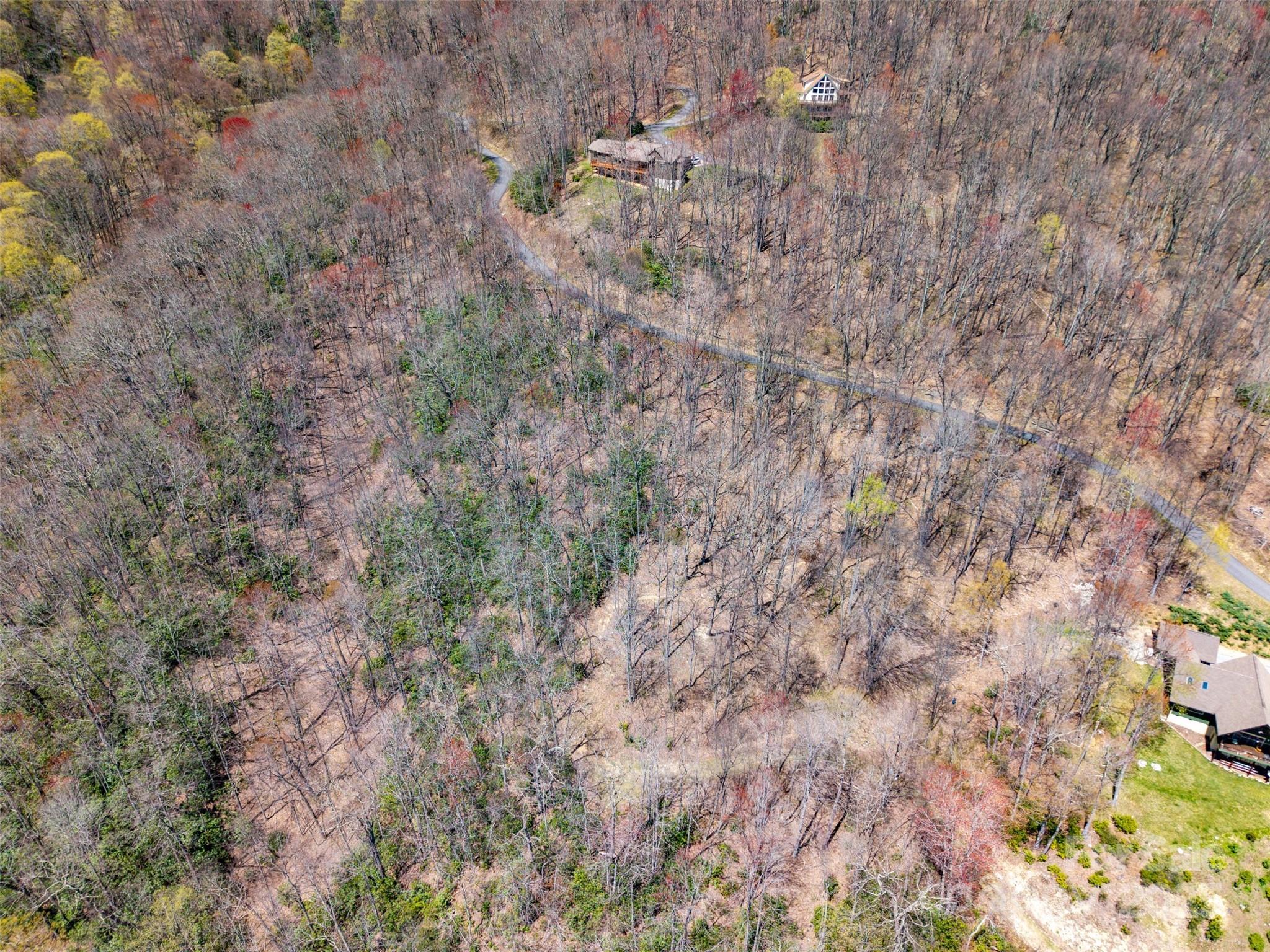 Tbd Davy Crockett Drive 109-112 Property Photo 18