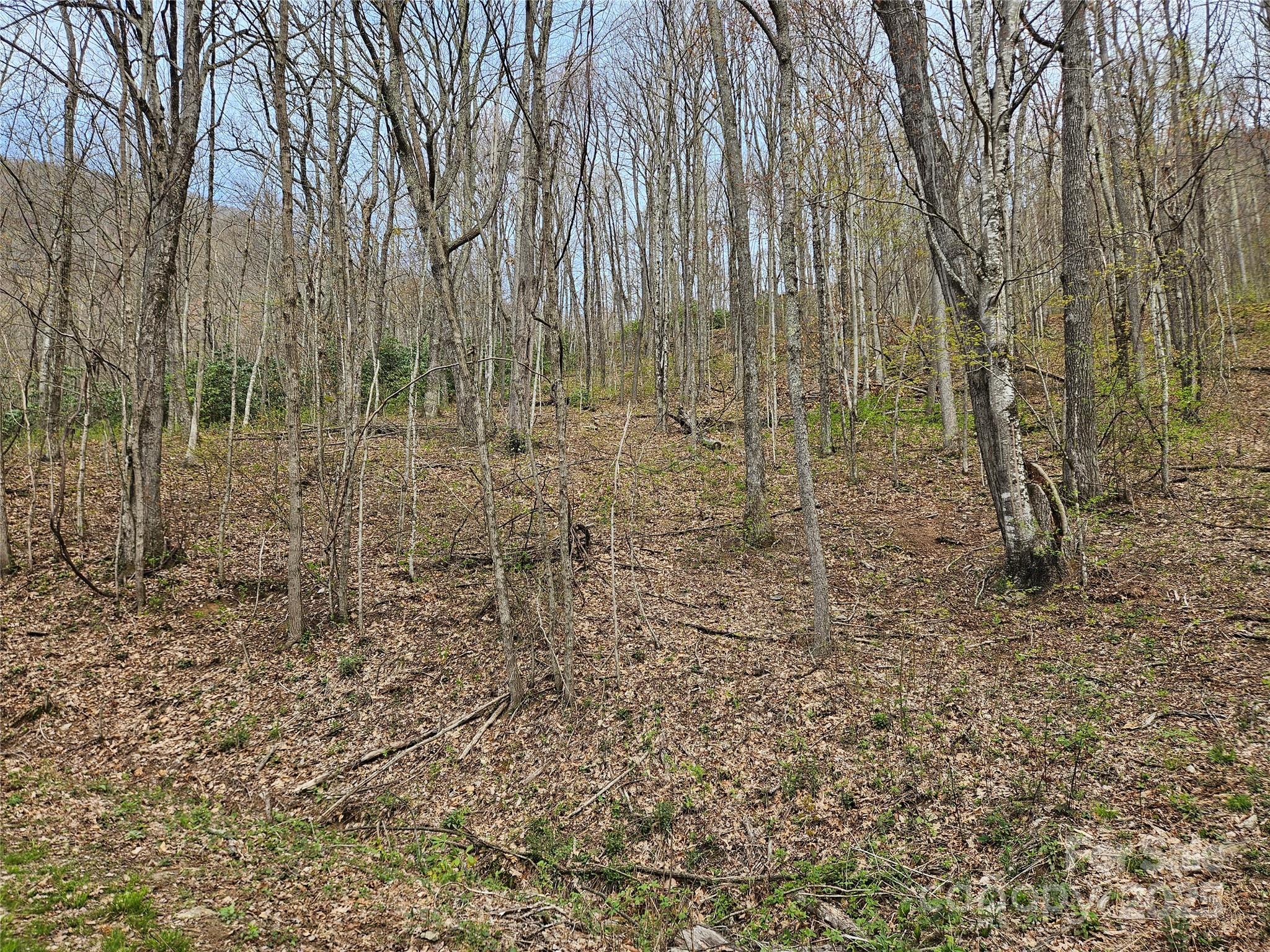 Tbd Davy Crockett Drive 109-112 Property Photo 22