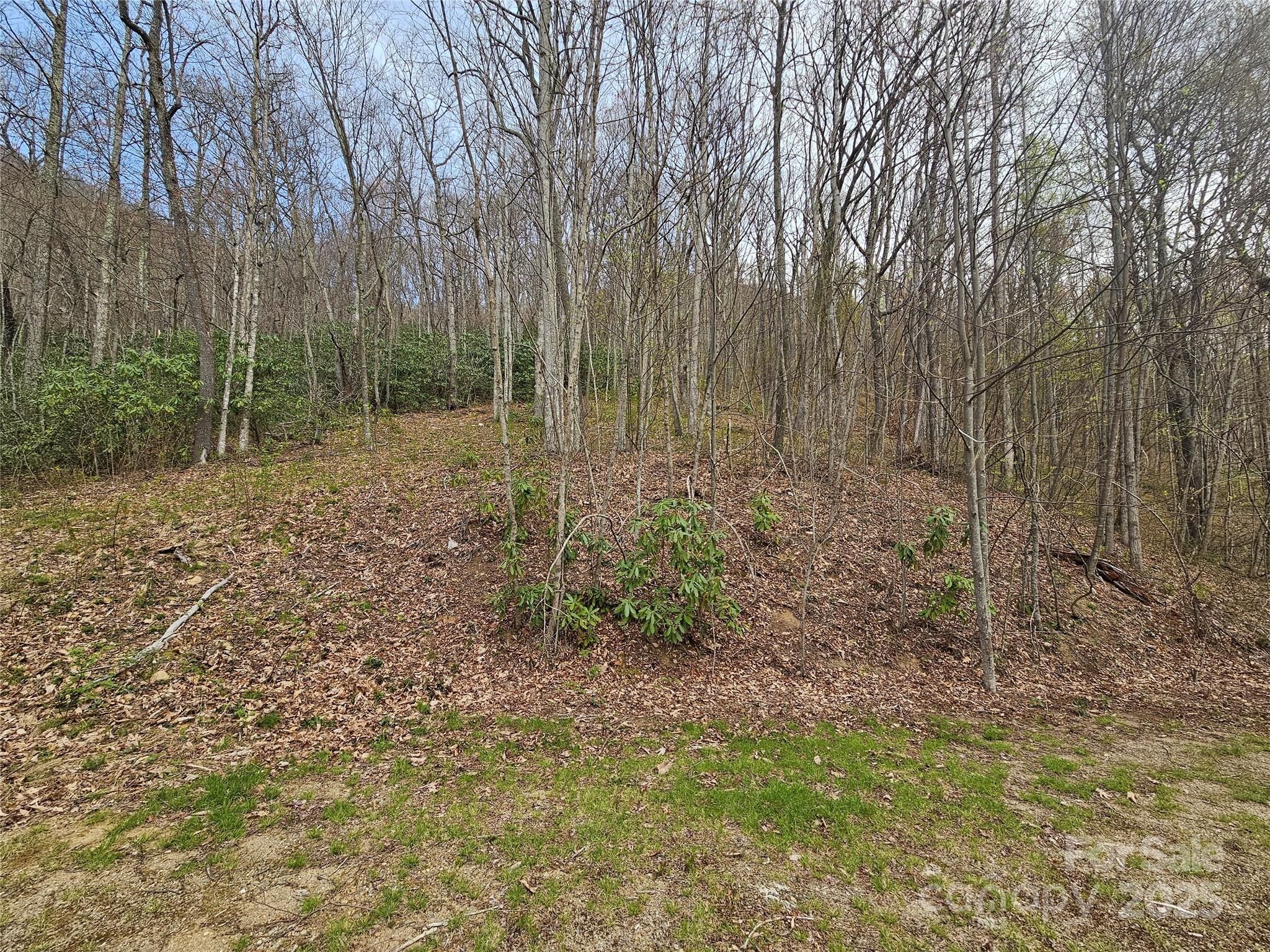 Tbd Davy Crockett Drive 109-112 Property Photo 26