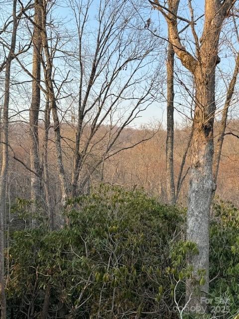 910 Morgan Hill Road Property Photo 3