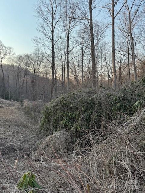 910 Morgan Hill Road Property Photo 4