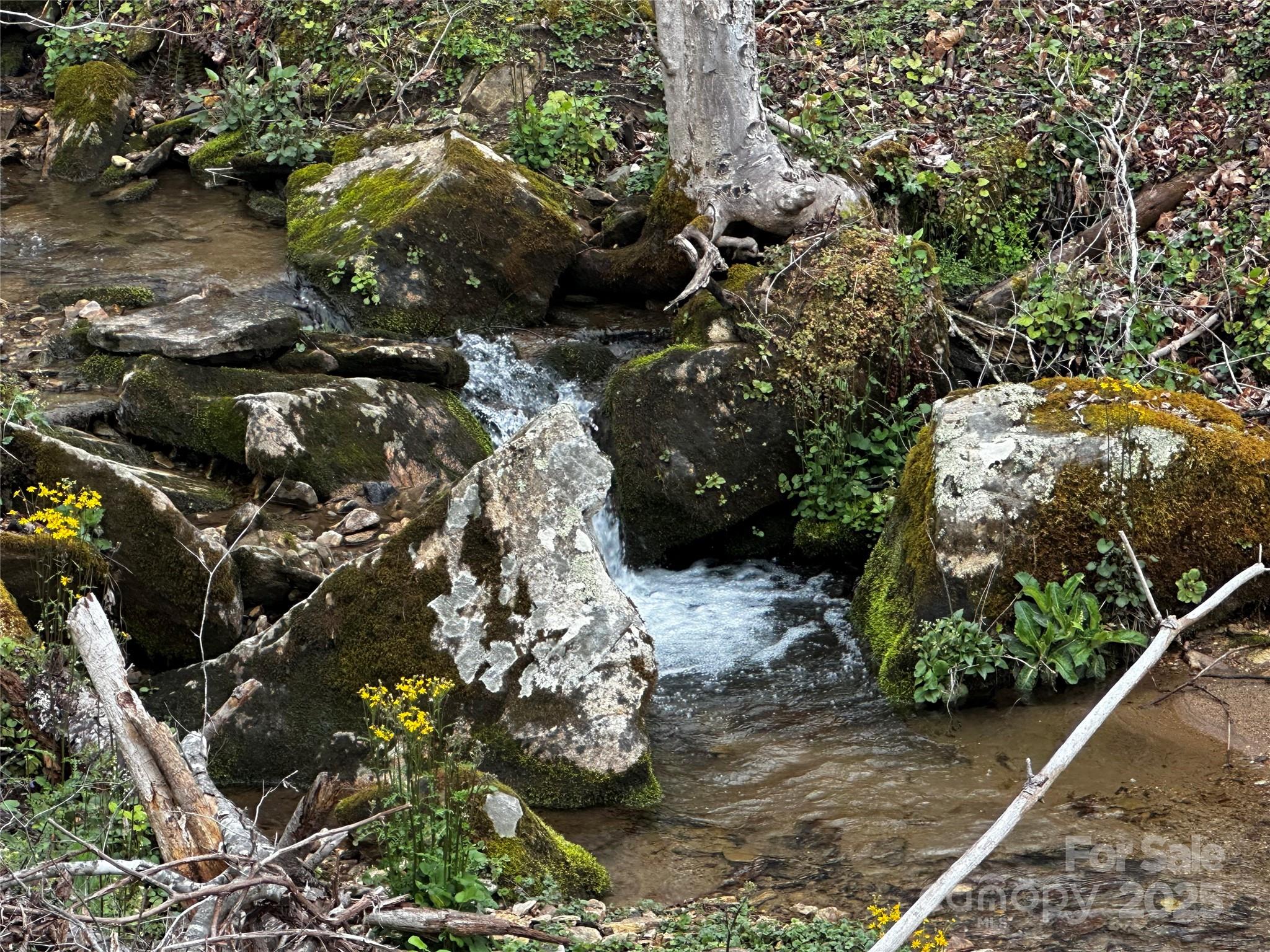 00 Aaron Branch Property Photo