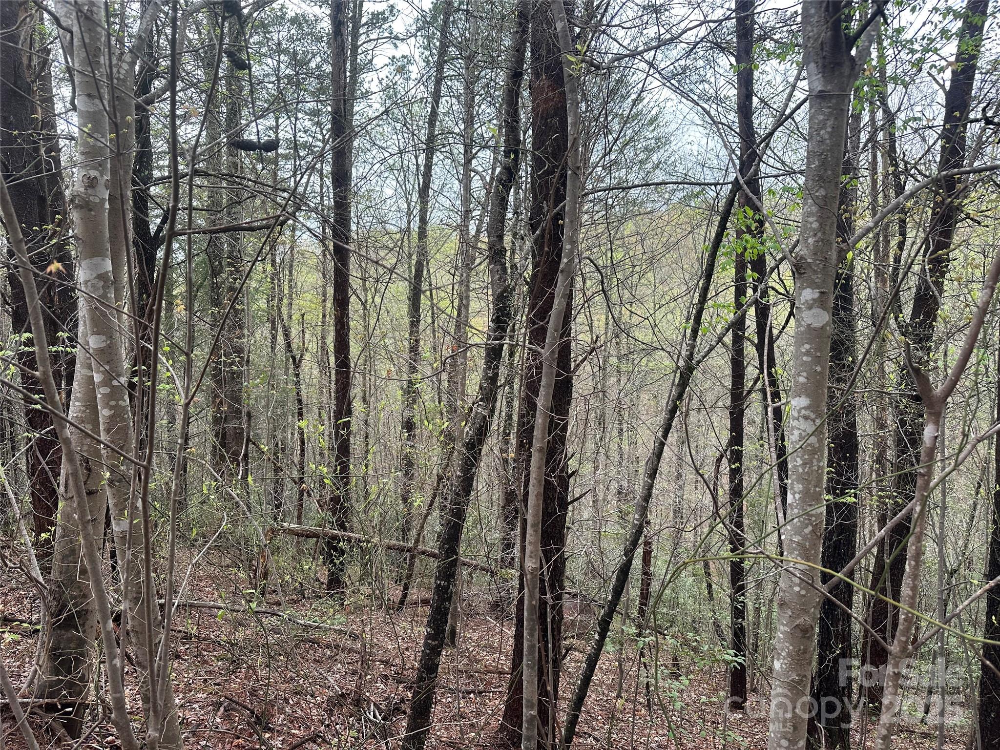 V/l Country Acres Drive Property Photo 4