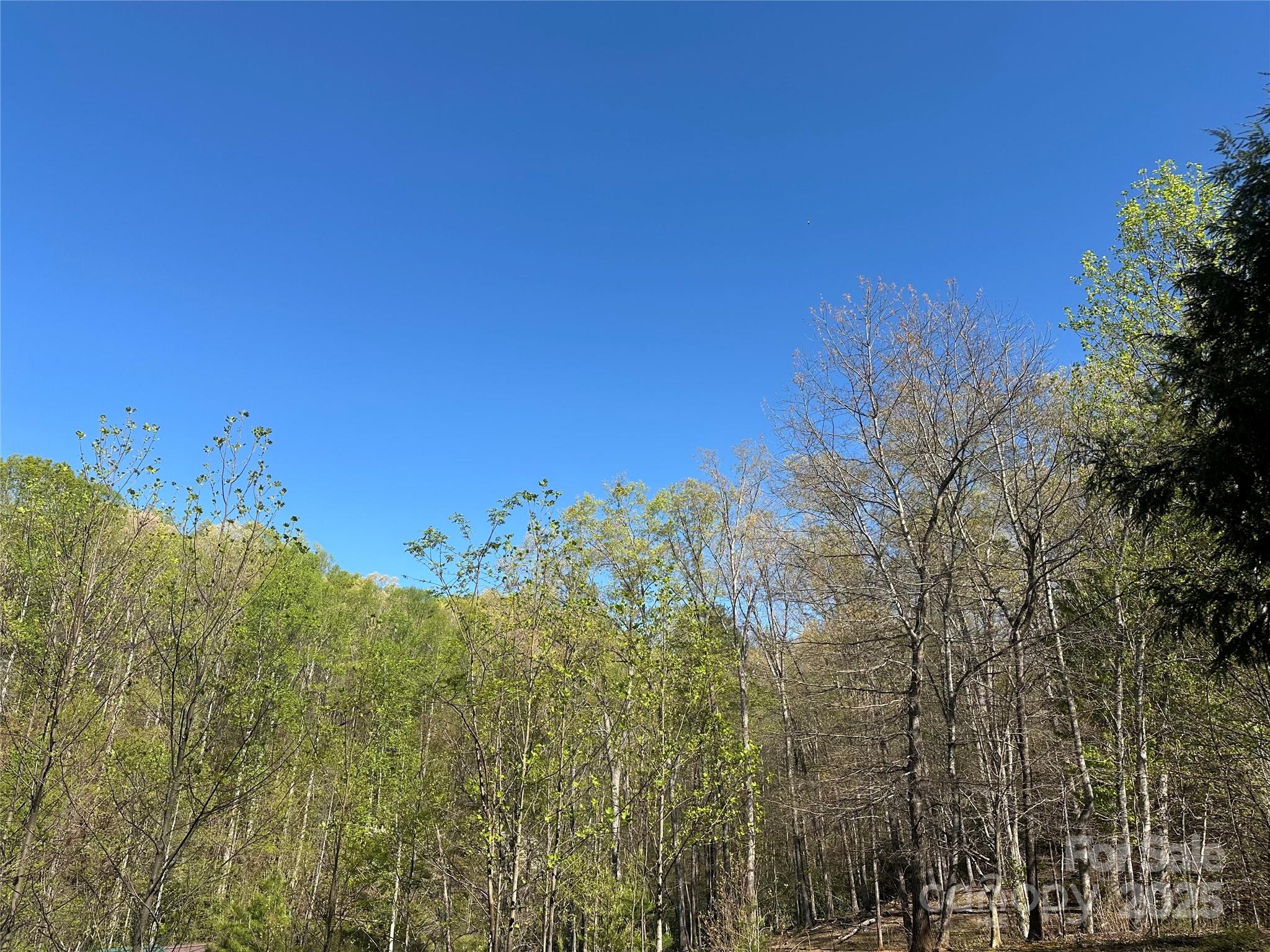 V/l Country Acres Drive Property Photo 5