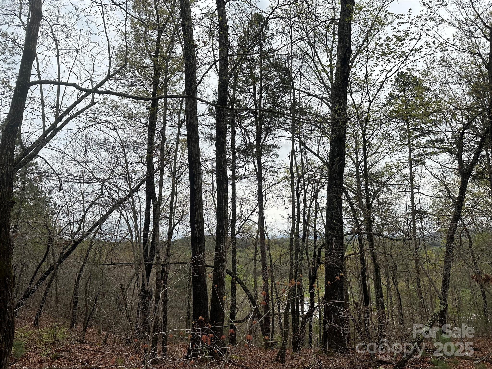 V/l Country Acres Drive Property Photo 6