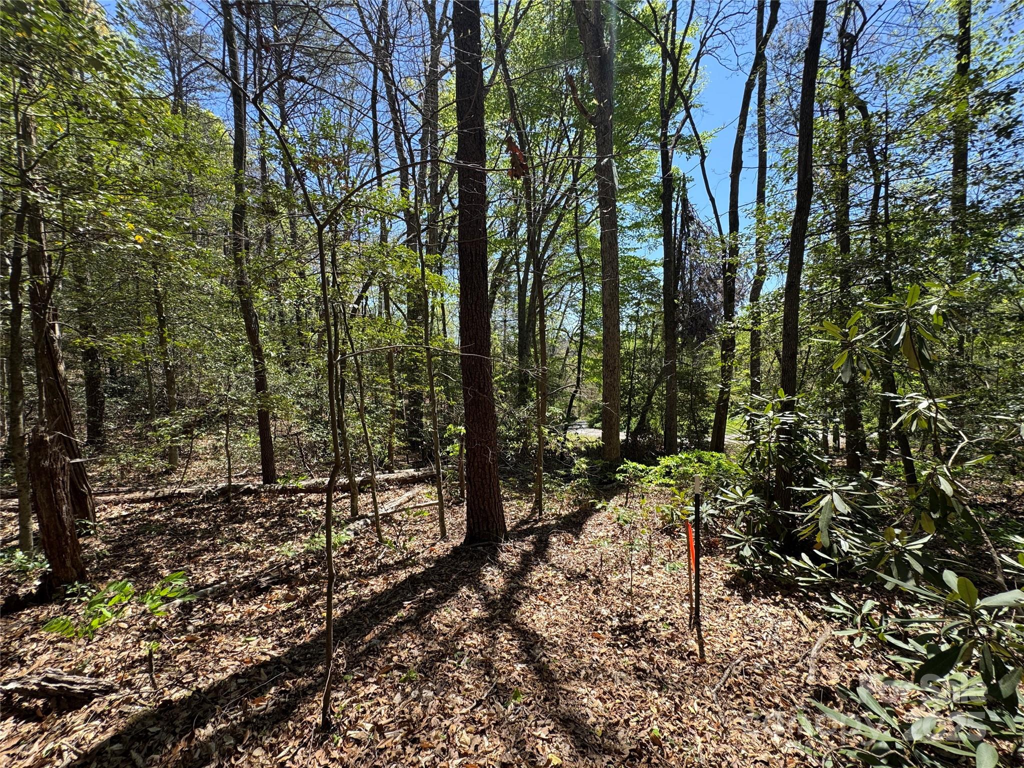 60 E Spring Wheel Drive Property Photo 1