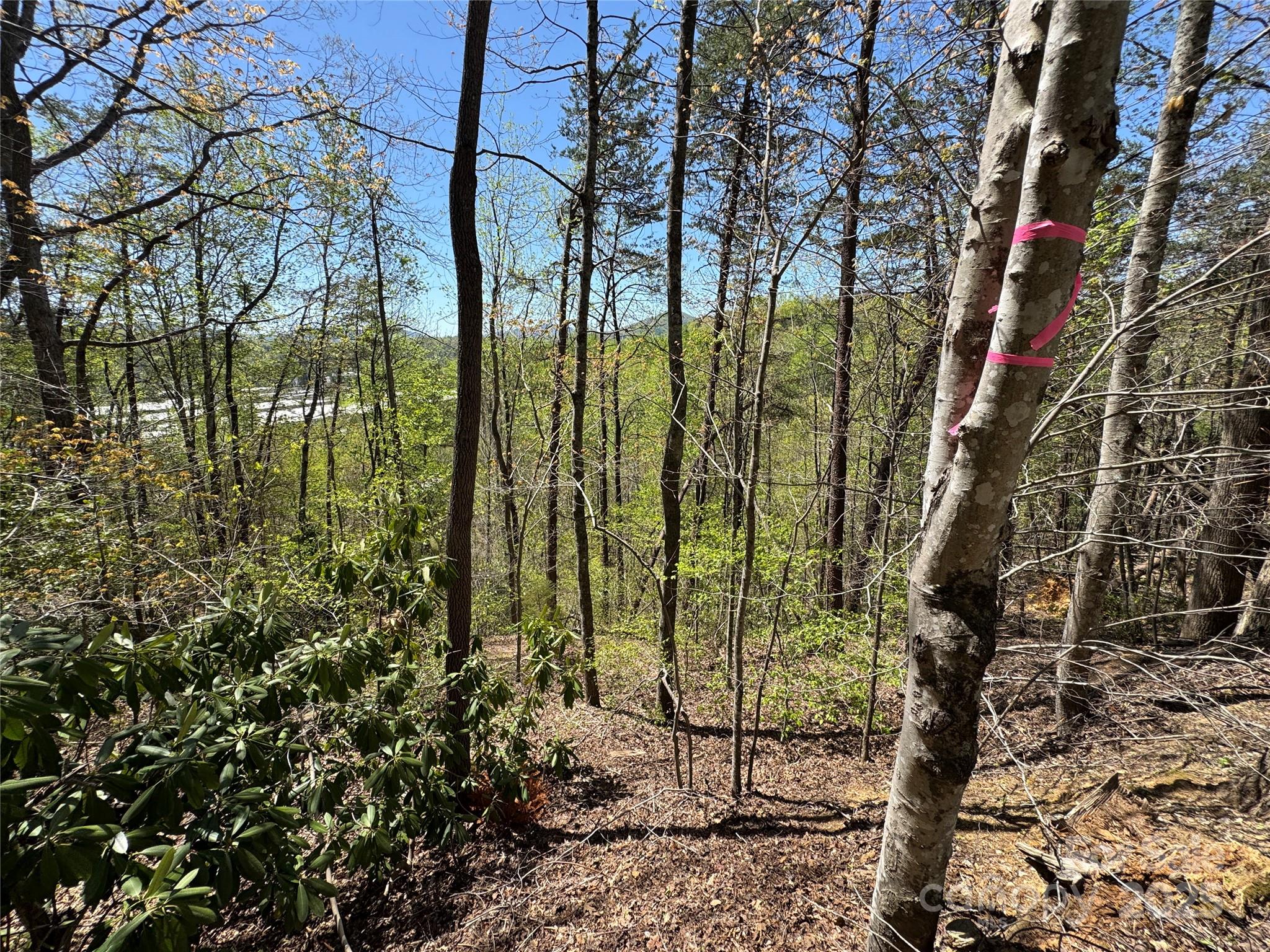 60 E Spring Wheel Drive Property Photo 2
