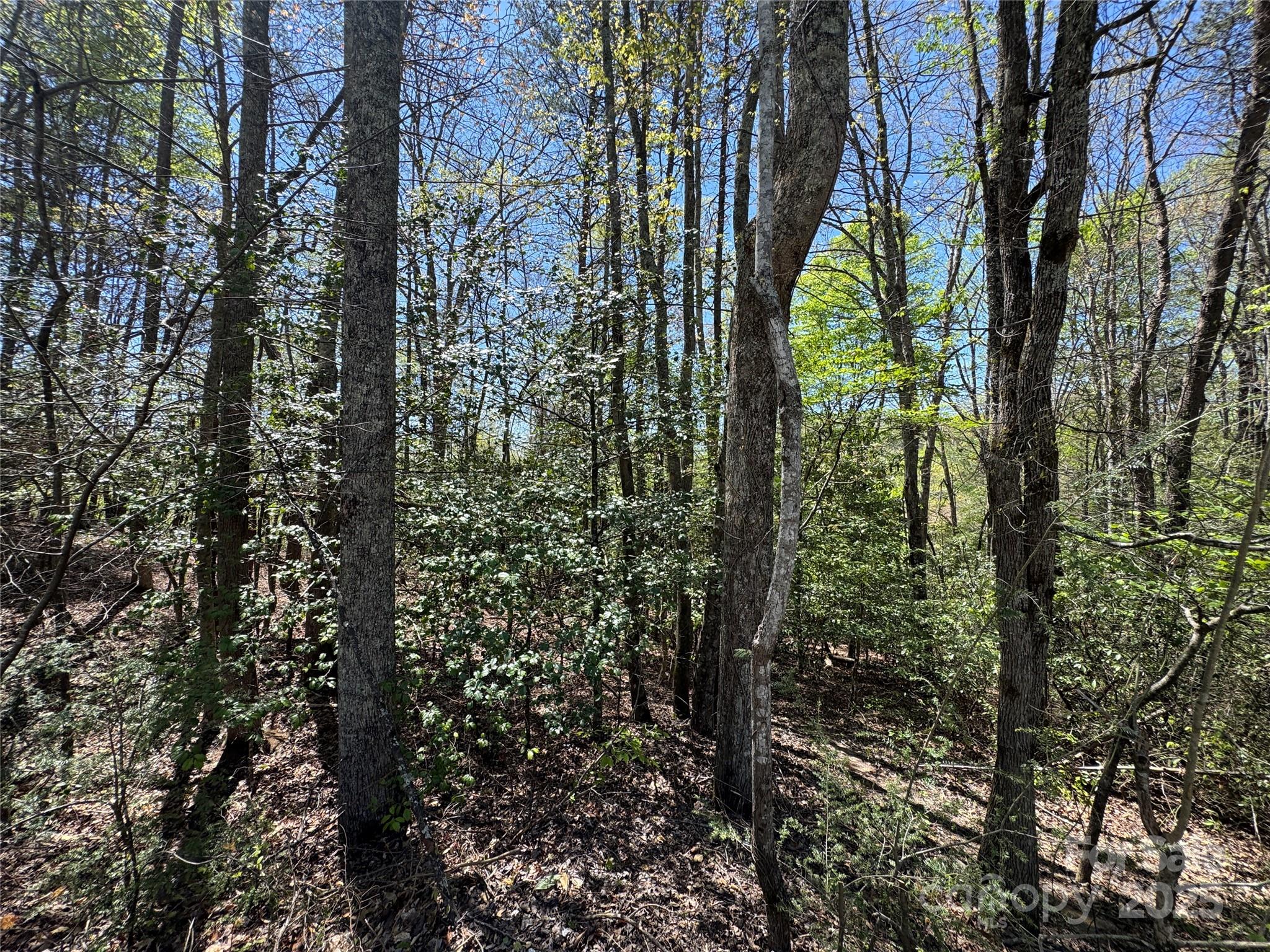 60 E Spring Wheel Drive Property Photo 4