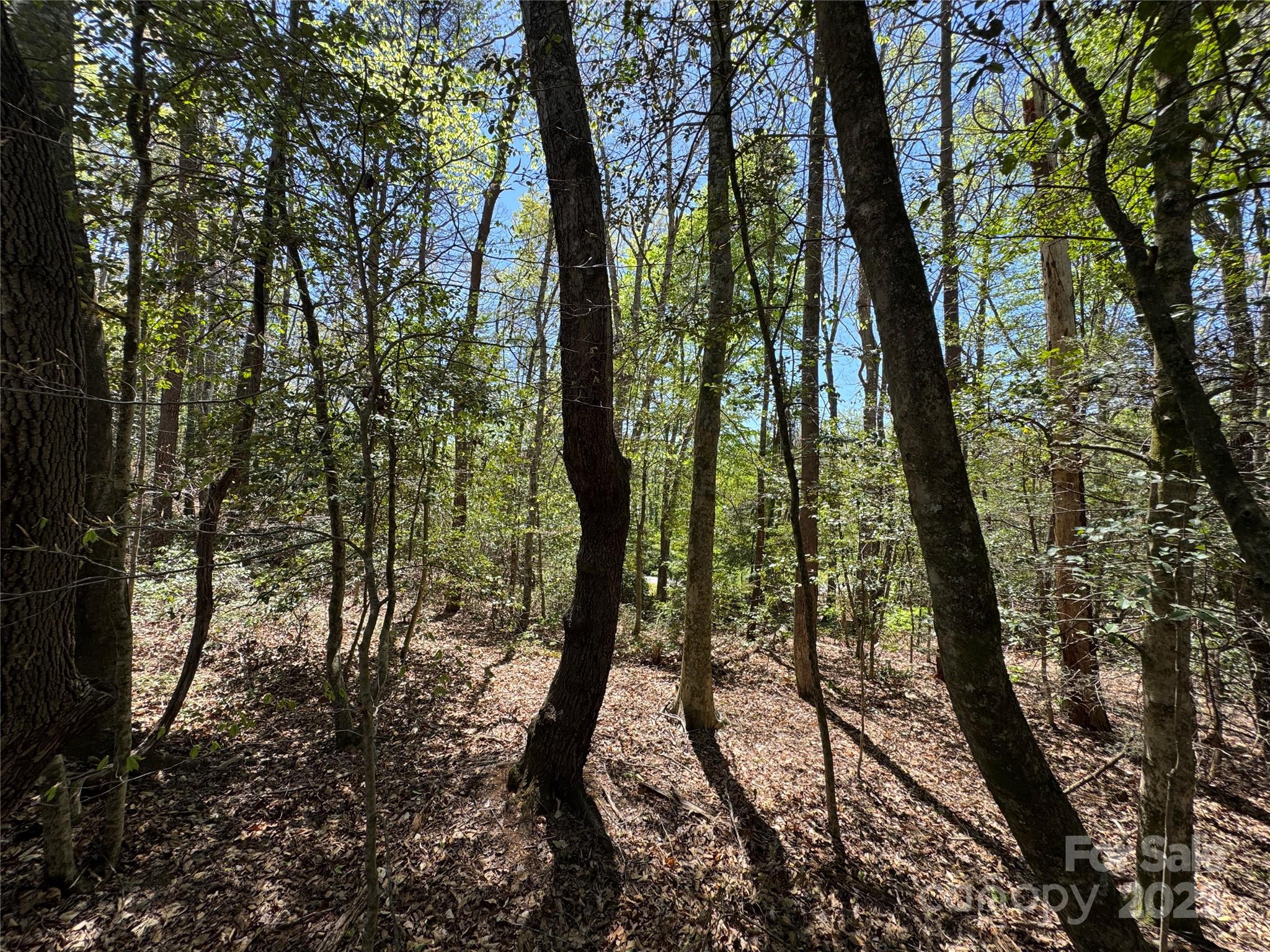 60 E Spring Wheel Drive Property Photo 5