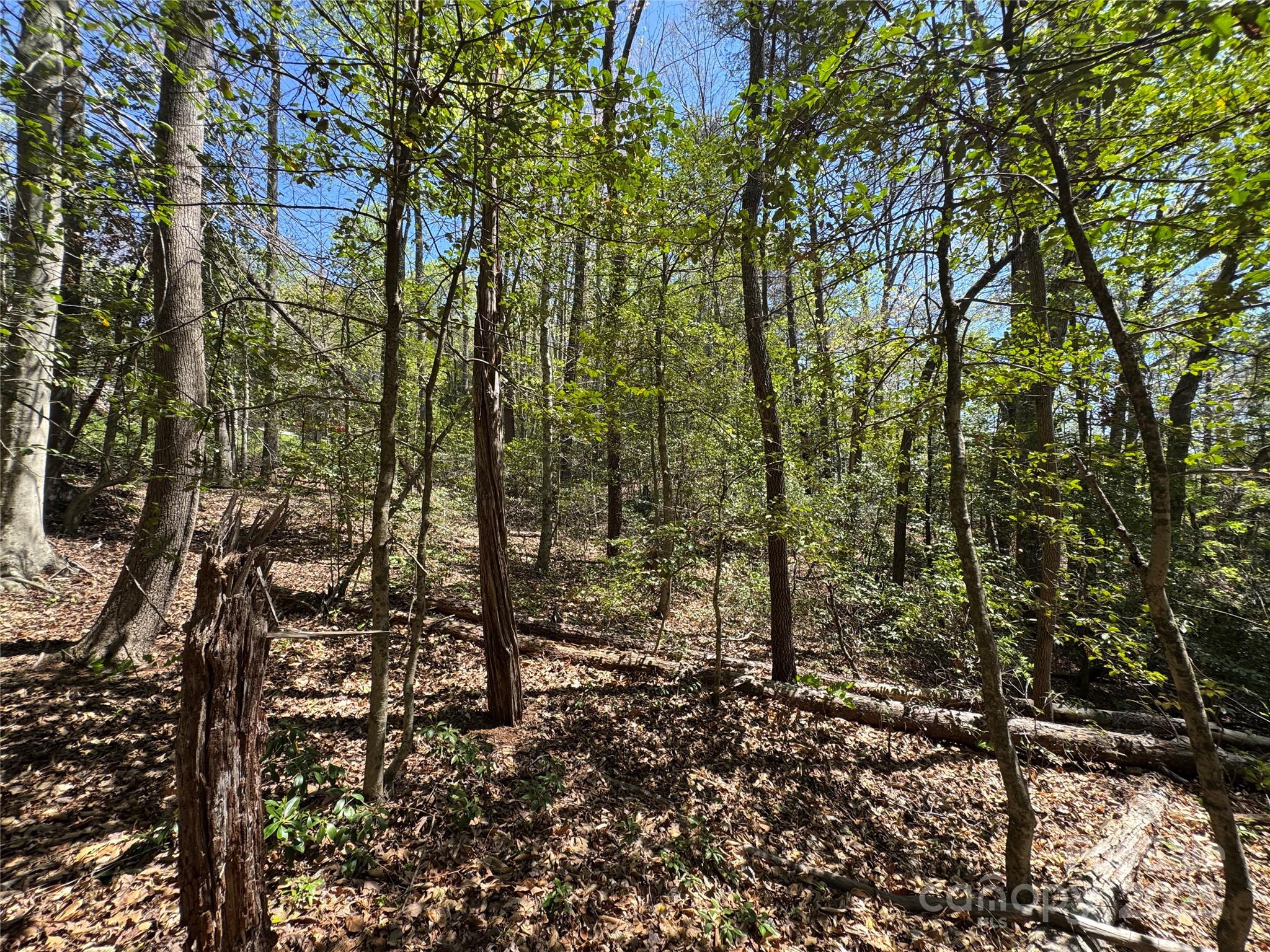 60 E Spring Wheel Drive Property Photo 7