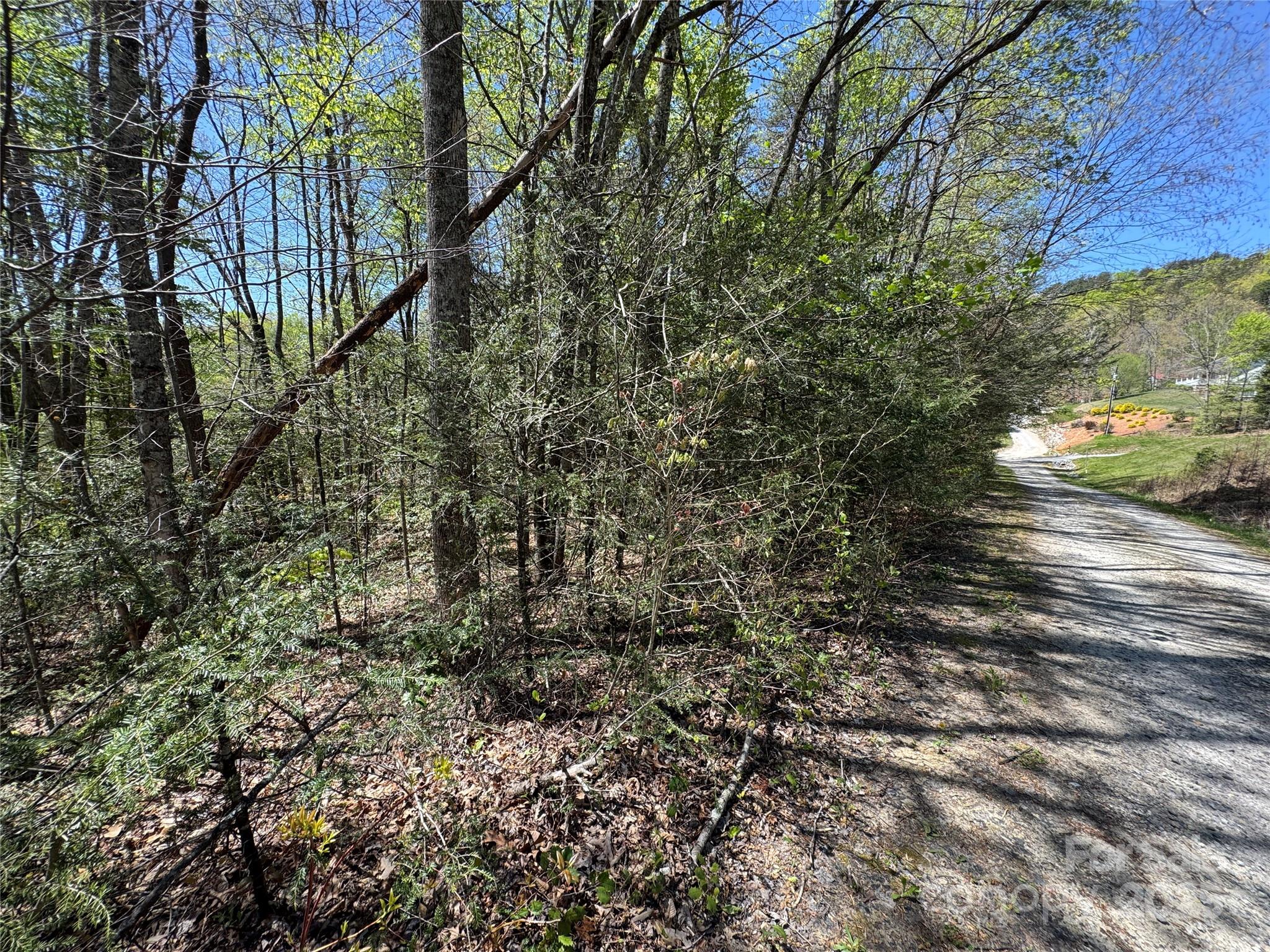 60 E Spring Wheel Drive Property Photo 8