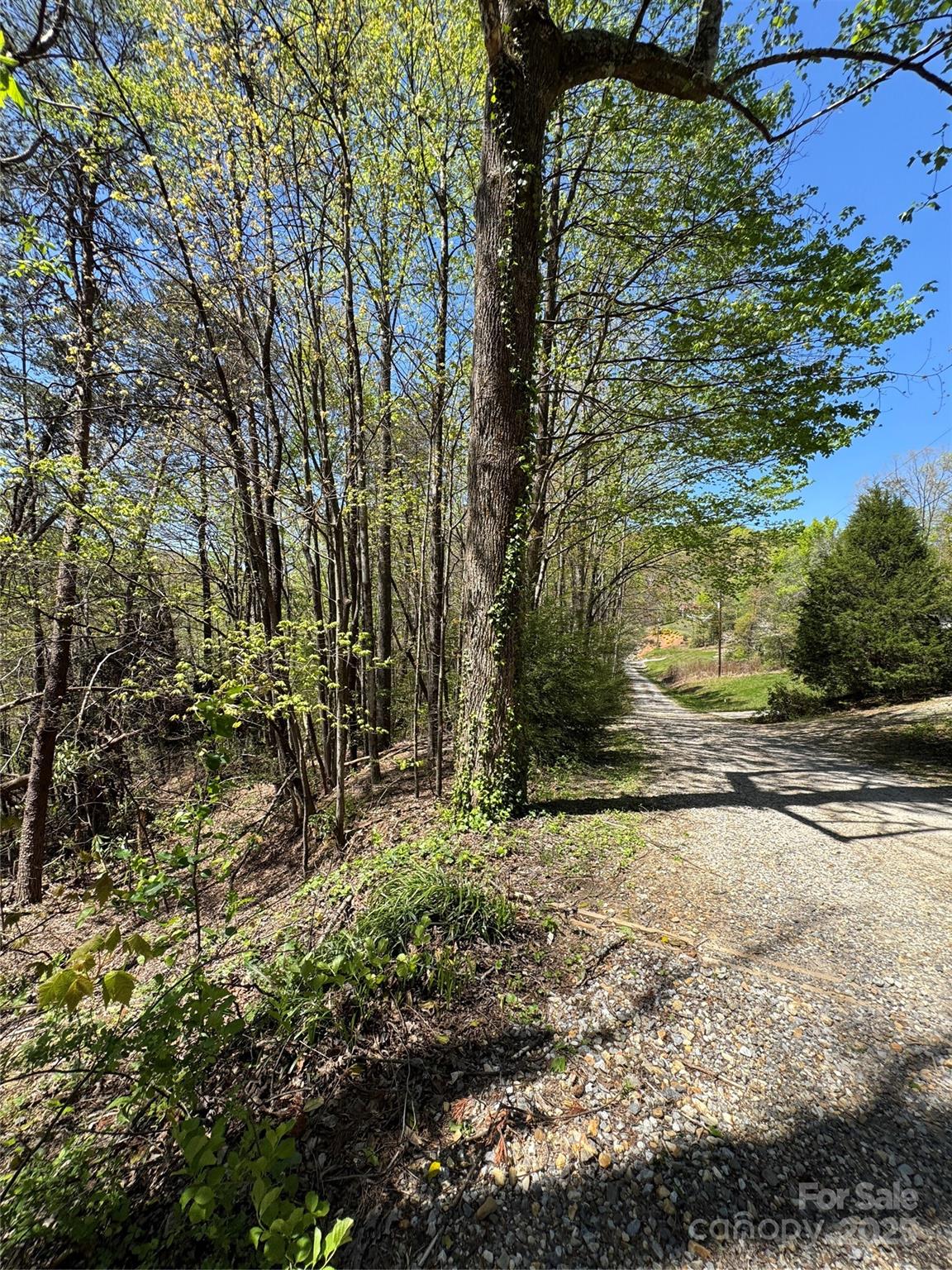 60 E Spring Wheel Drive Property Photo 9