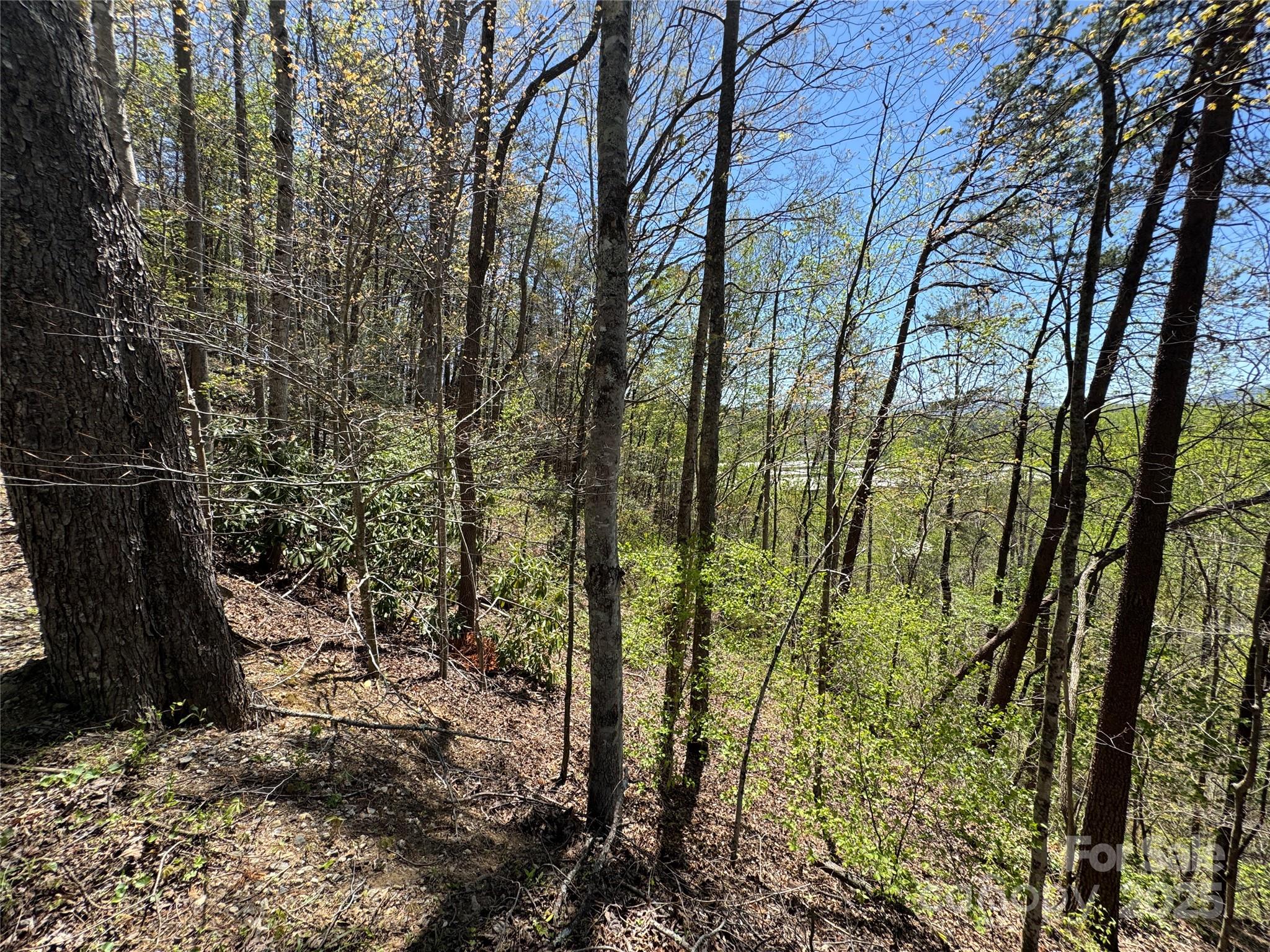 60 E Spring Wheel Drive Property Photo 10