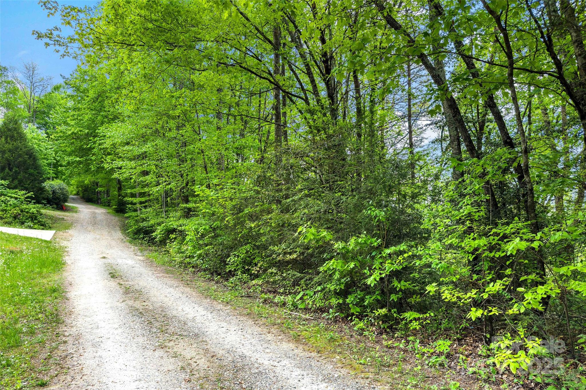 60 E Spring Wheel Drive Property Photo 11