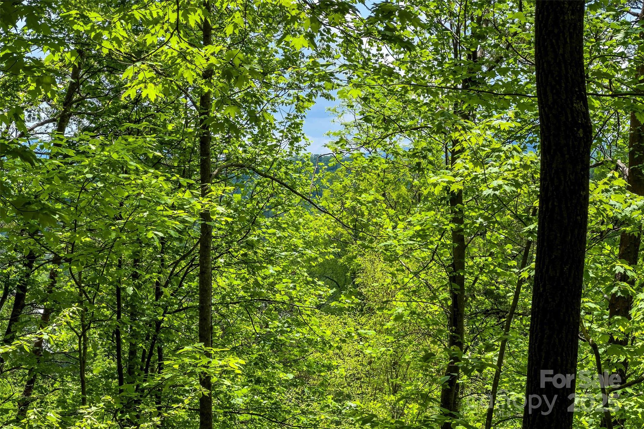 60 E Spring Wheel Drive Property Photo 12