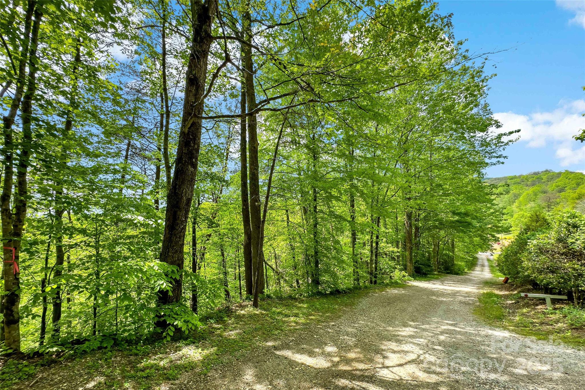 60 E Spring Wheel Drive Property Photo 13