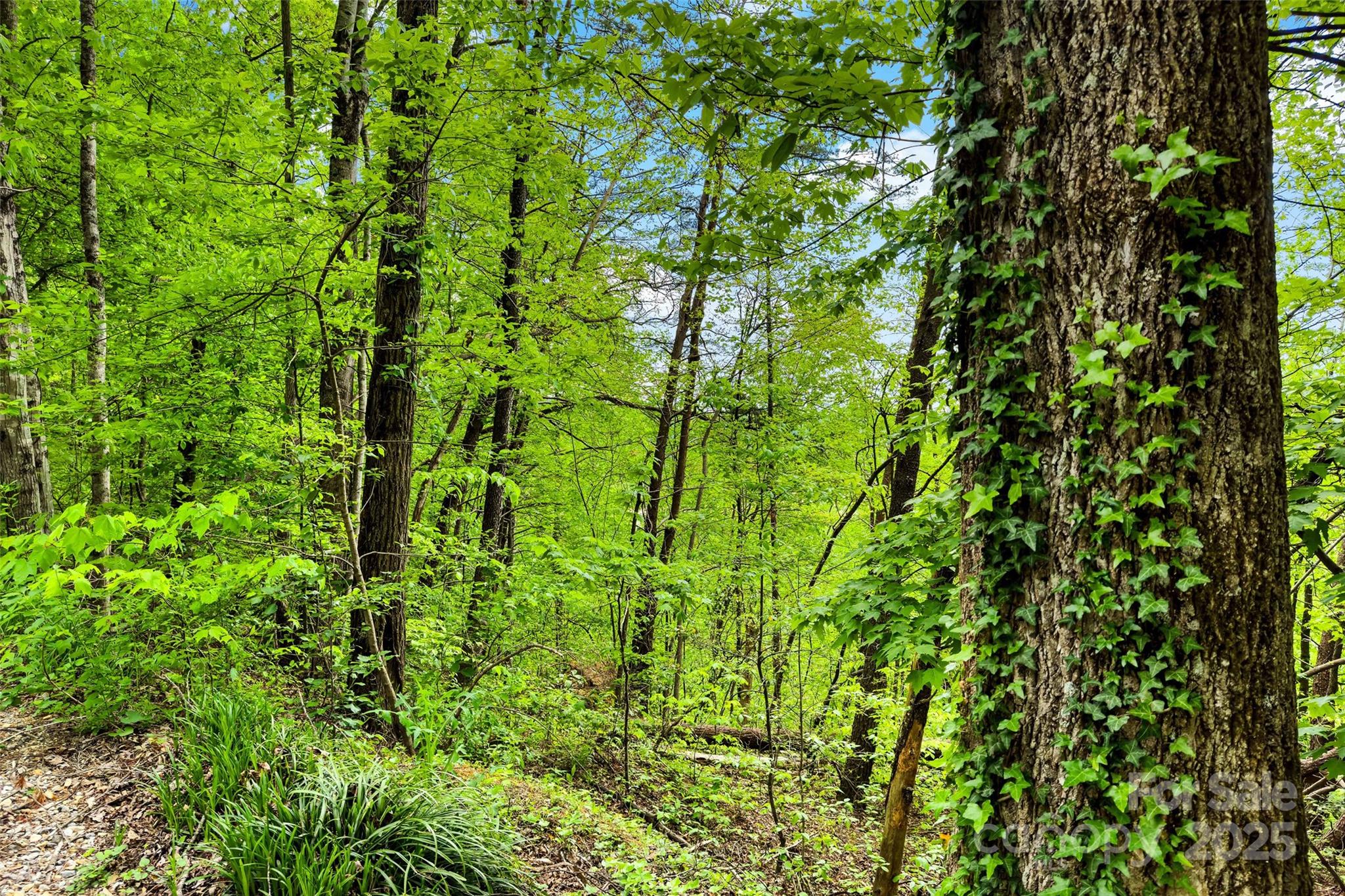 60 E Spring Wheel Drive Property Photo 14