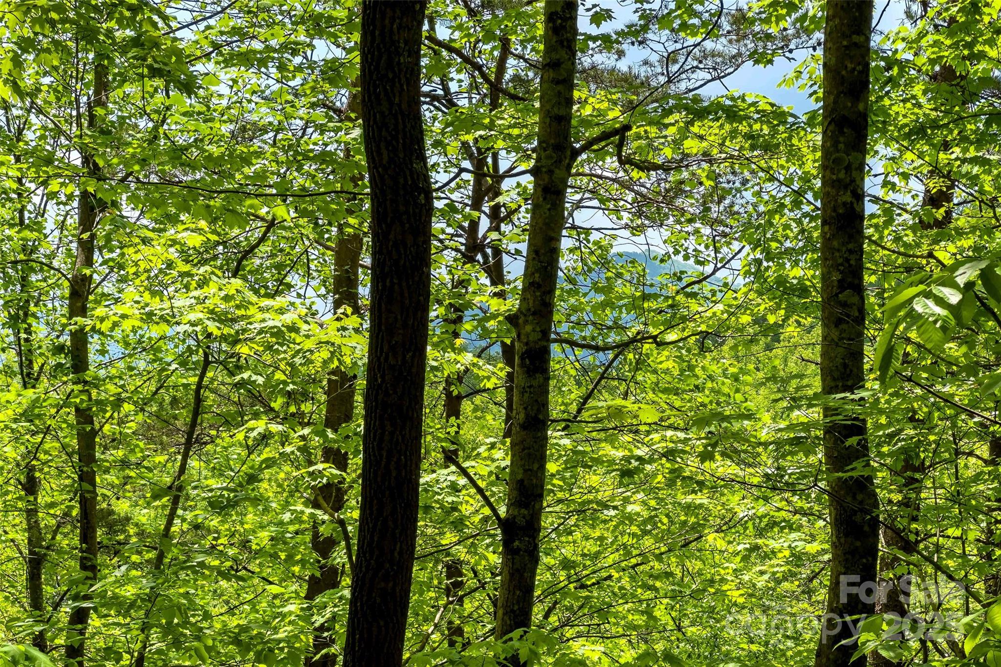 60 E Spring Wheel Drive Property Photo 15