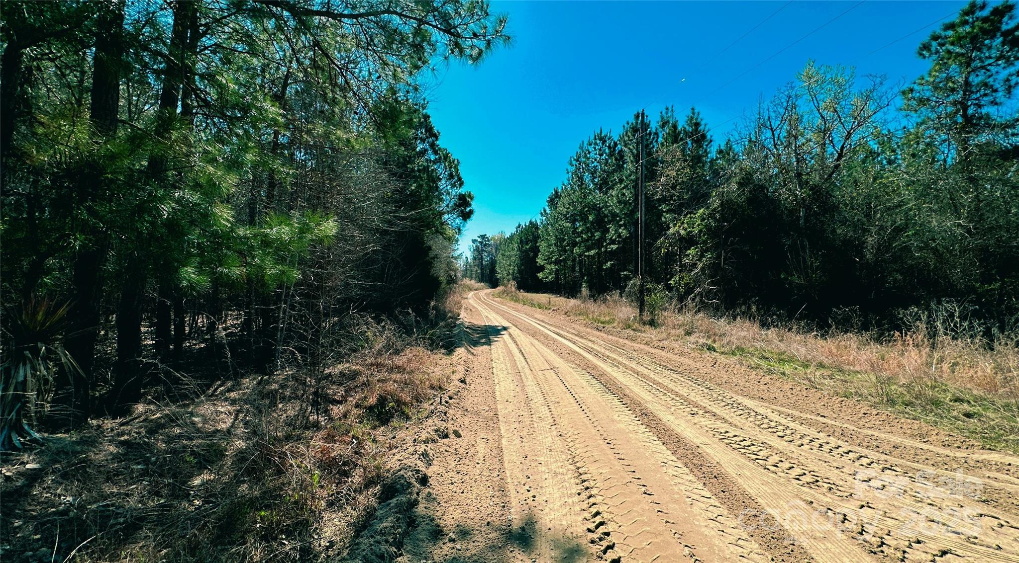 511 Moses Road Property Photo 2