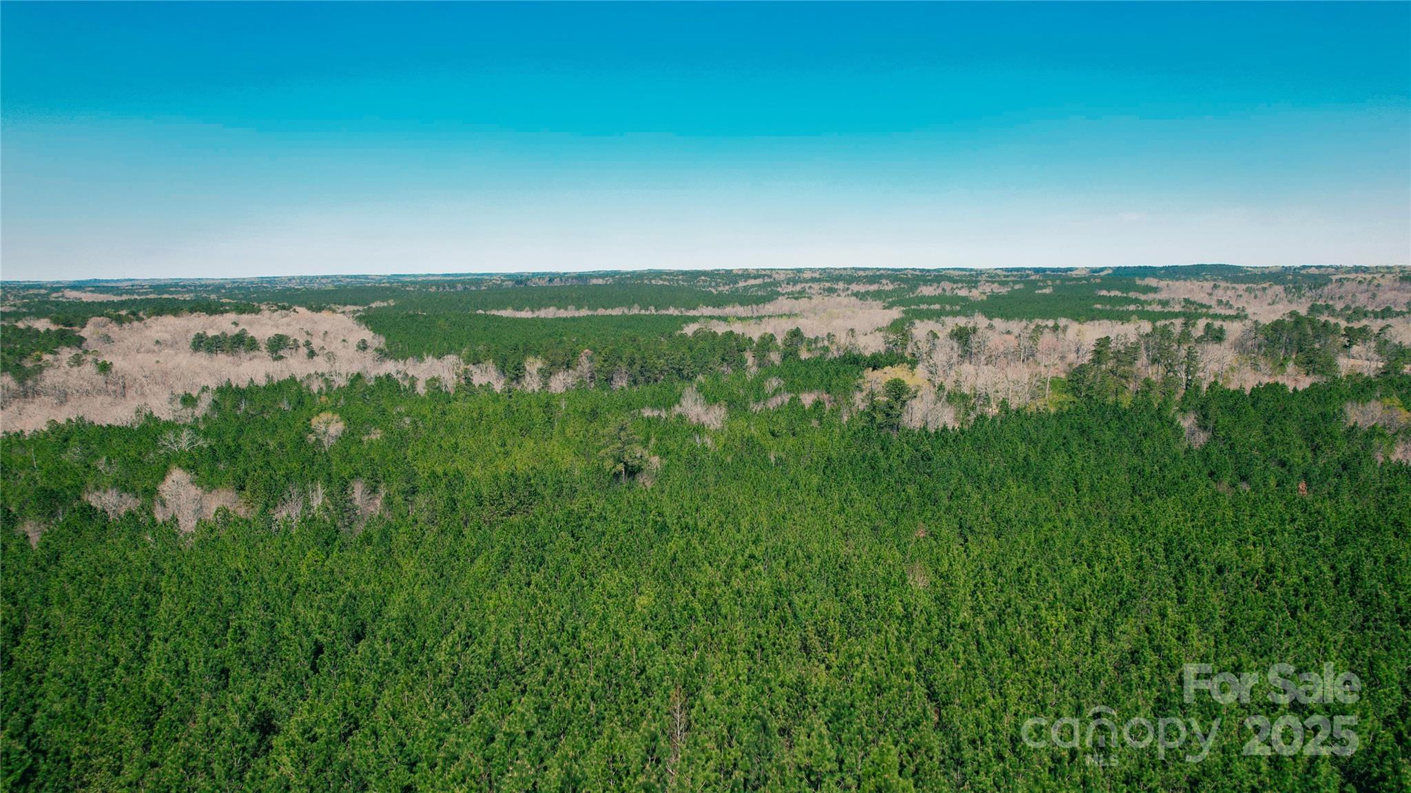 511 Moses Road Property Photo 6