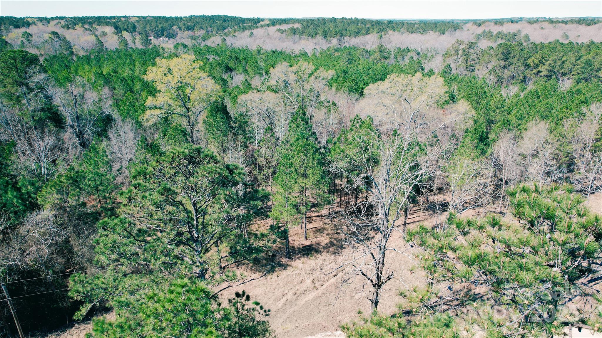 511 Moses Road Property Photo 15