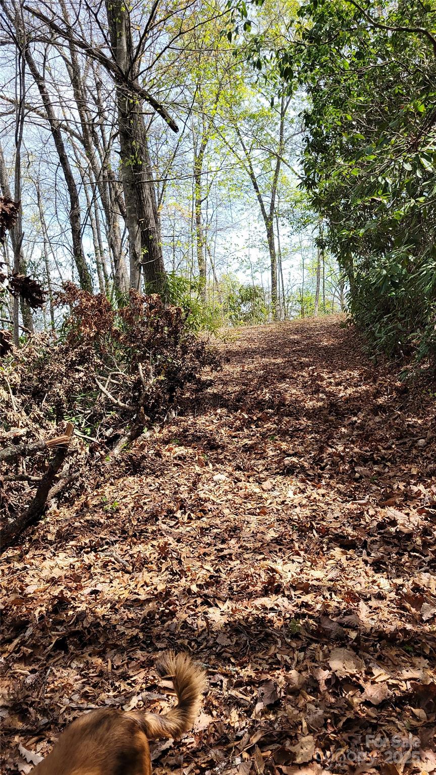 24 Lacy Fern Ridge 24 Property Photo 20