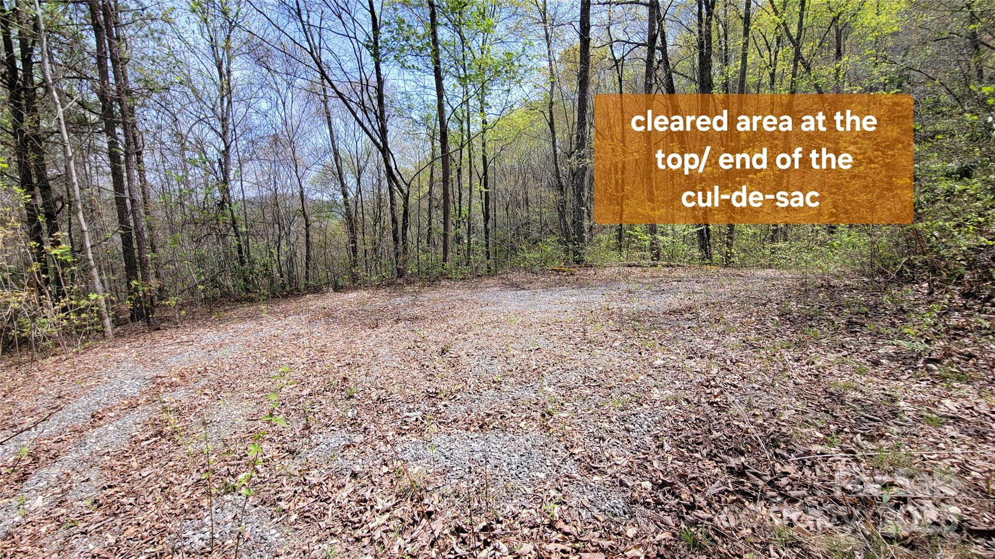 25 Lacy Fern Ridge 25 Property Photo 4