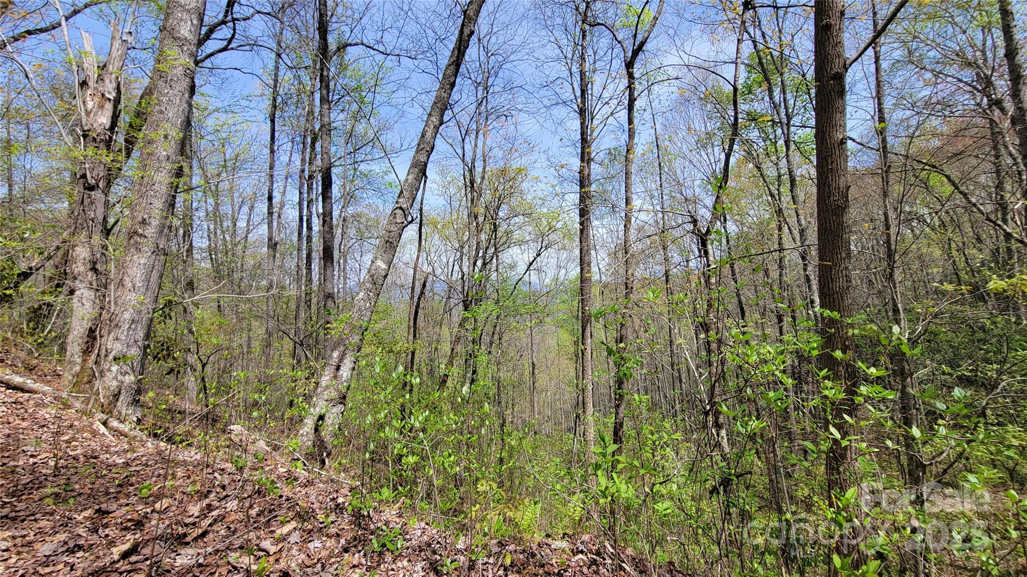 25 Lacy Fern Ridge 25 Property Photo 10