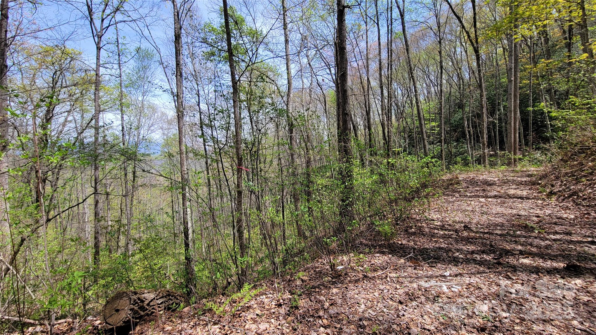 25 Lacy Fern Ridge 25 Property Photo 12