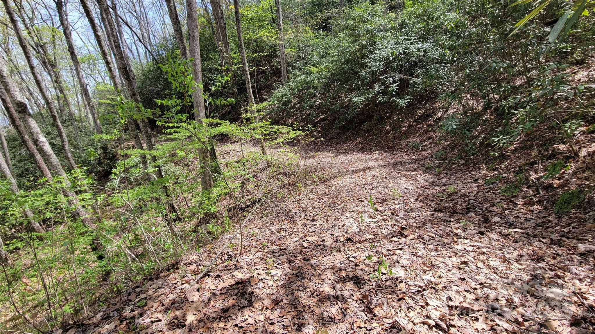 25 Lacy Fern Ridge 25 Property Photo 14