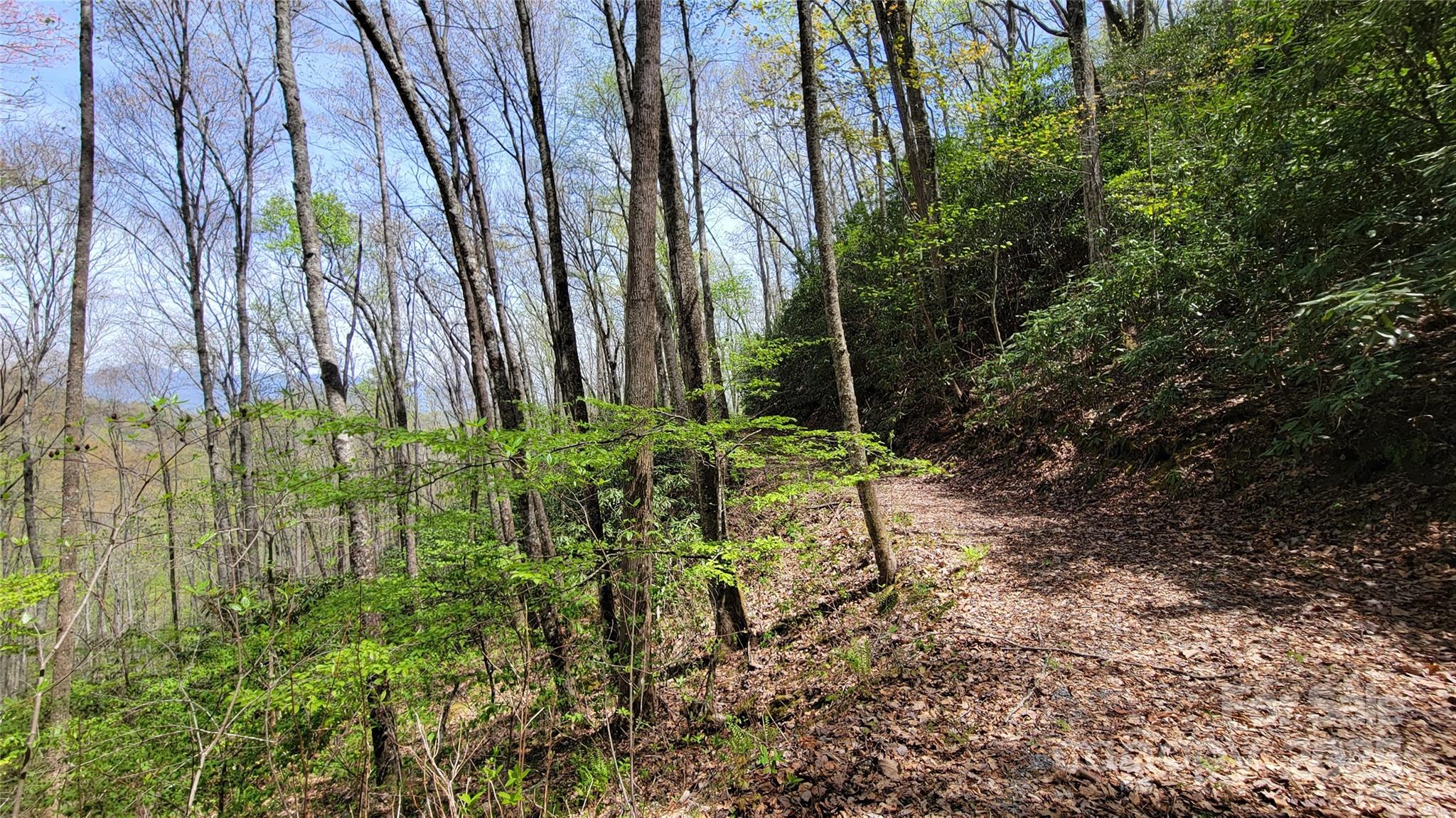 25 Lacy Fern Ridge 25 Property Photo 15