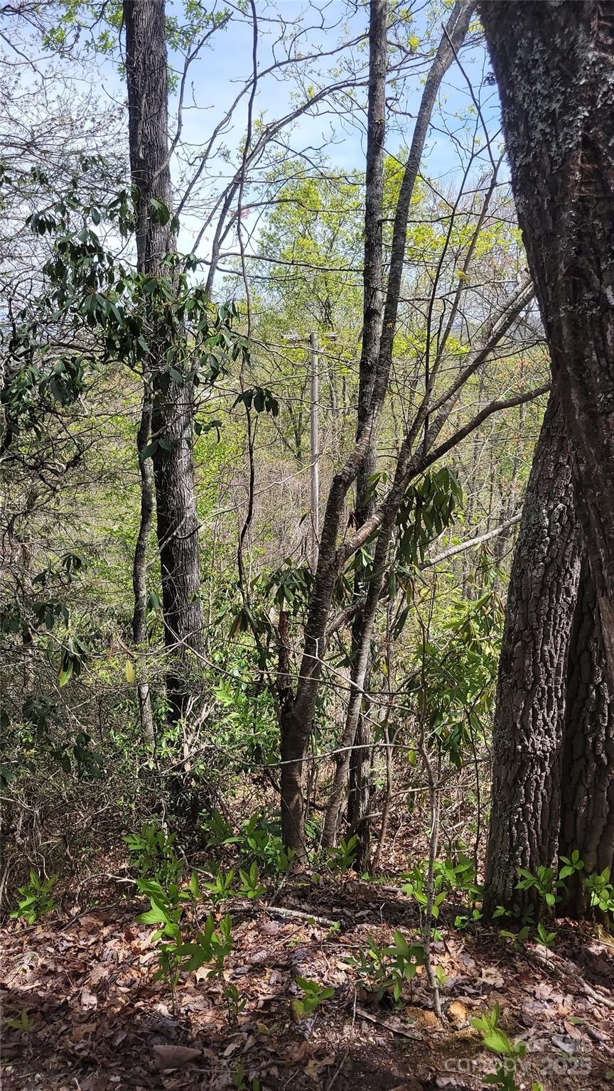 25 Lacy Fern Ridge 25 Property Photo 22